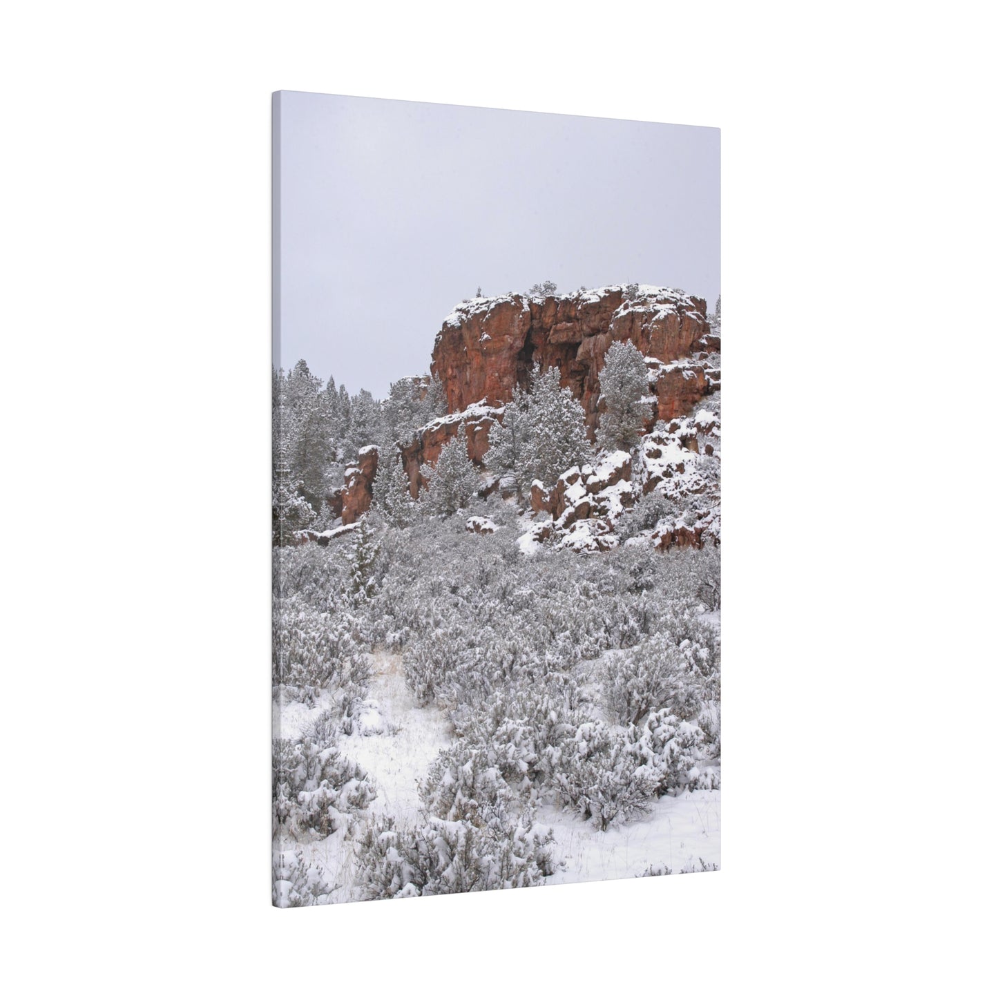 Winter Cliff Matte Canvas