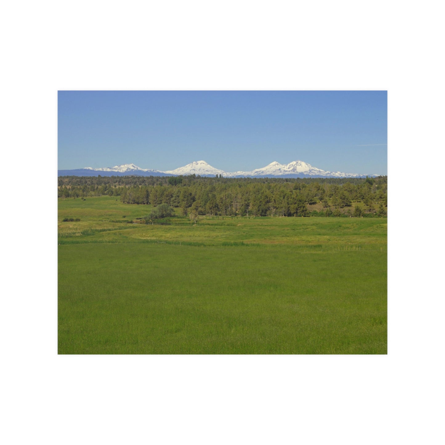 Mountain Meadow Satin Posters