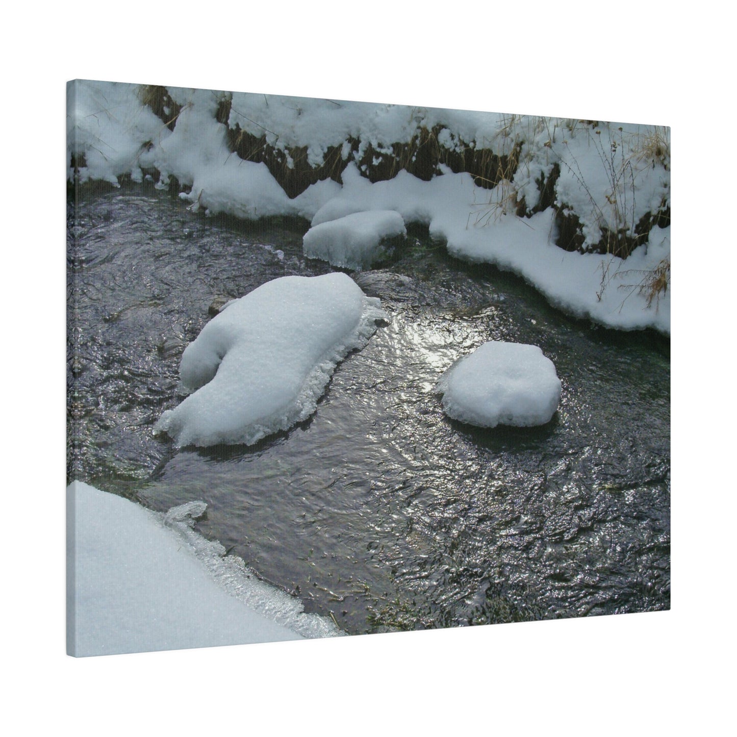Winter Reflection Matte Canvas