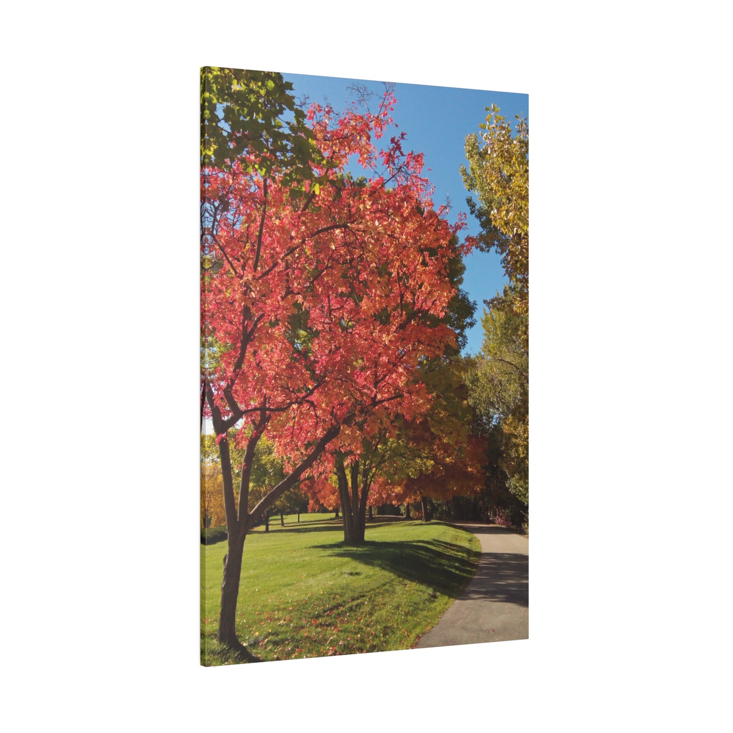 Autumn Glow Matte Canvas