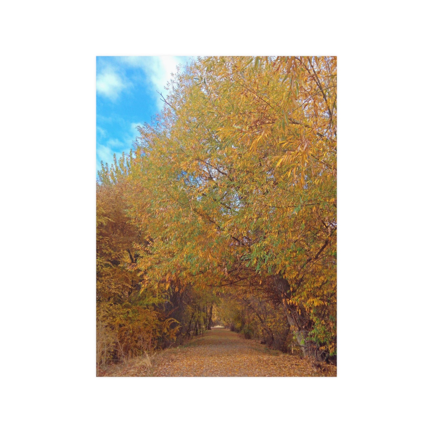 Autumn Path Satin Posters