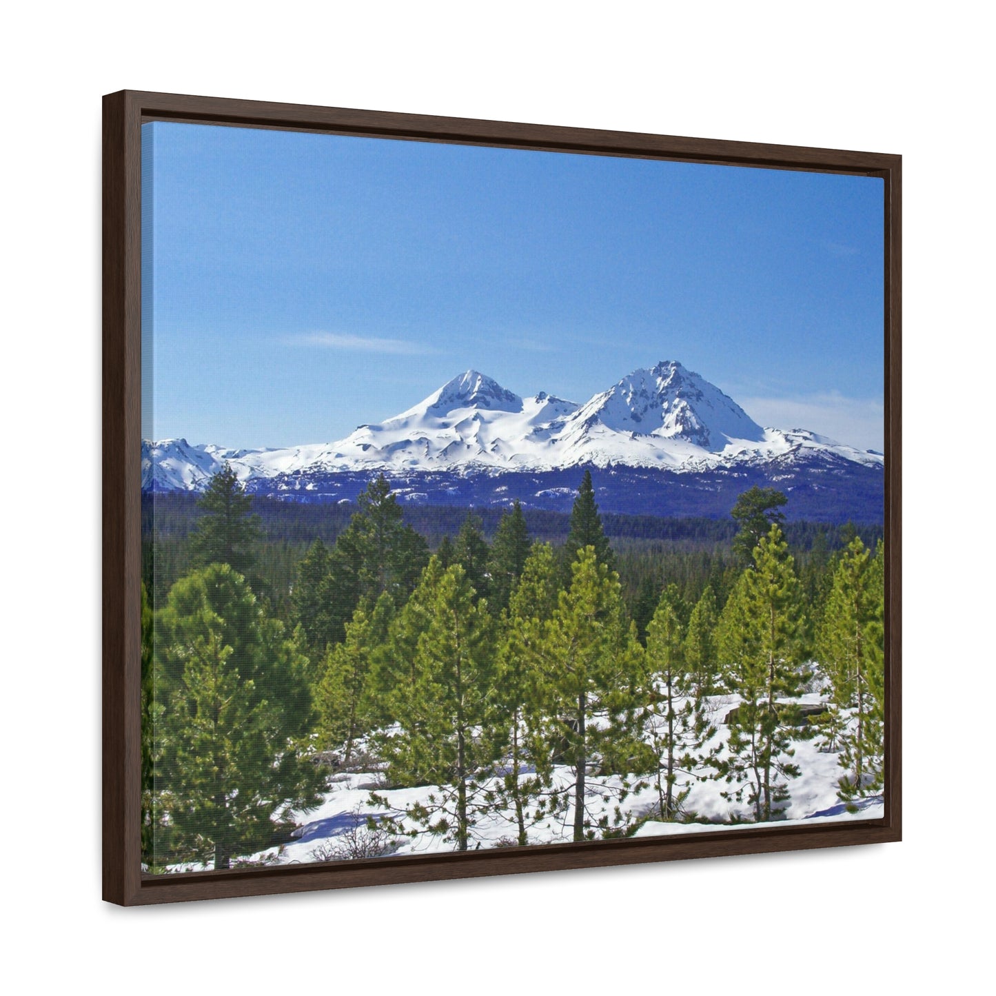 Winter Two Sisters Gallery Canvas Wraps Framed