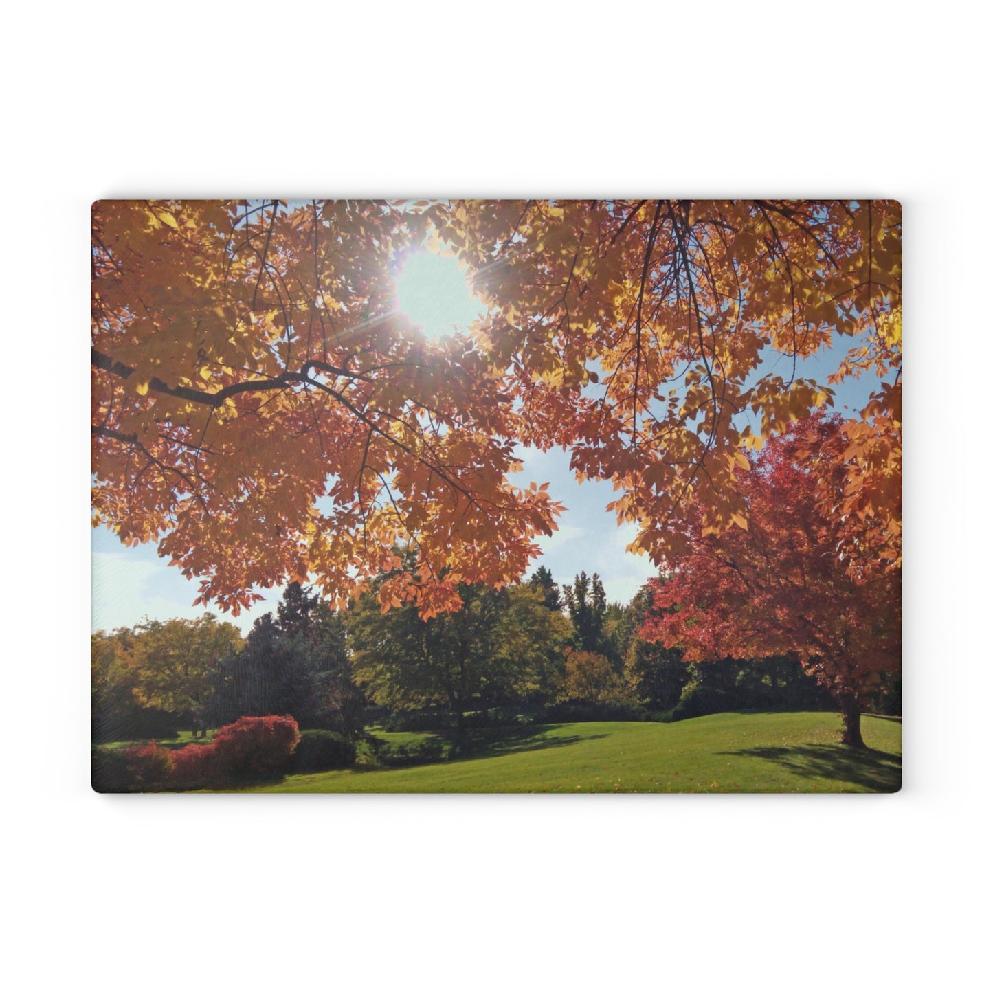 Autumn Light Glass Cutting Board Hand Wash
