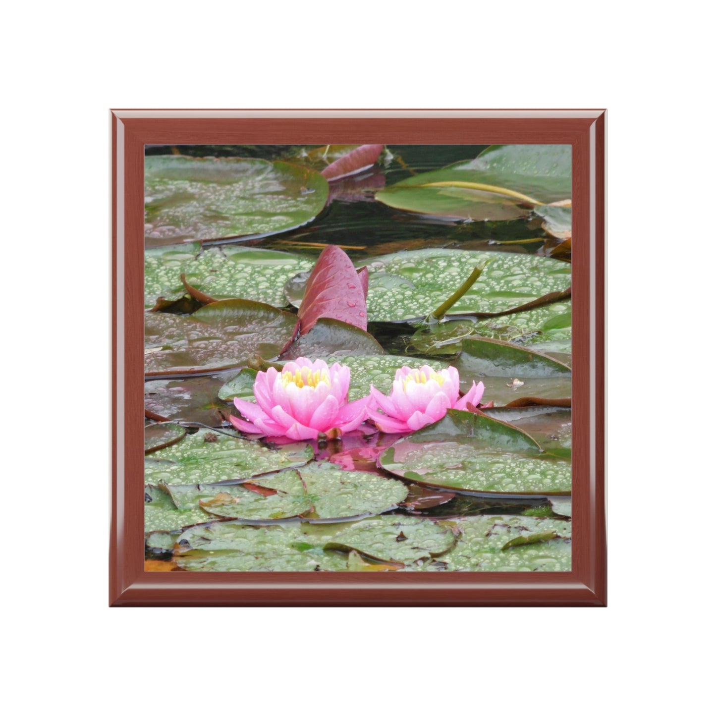 Water Lilies Jewelry Box ~ 7.24"