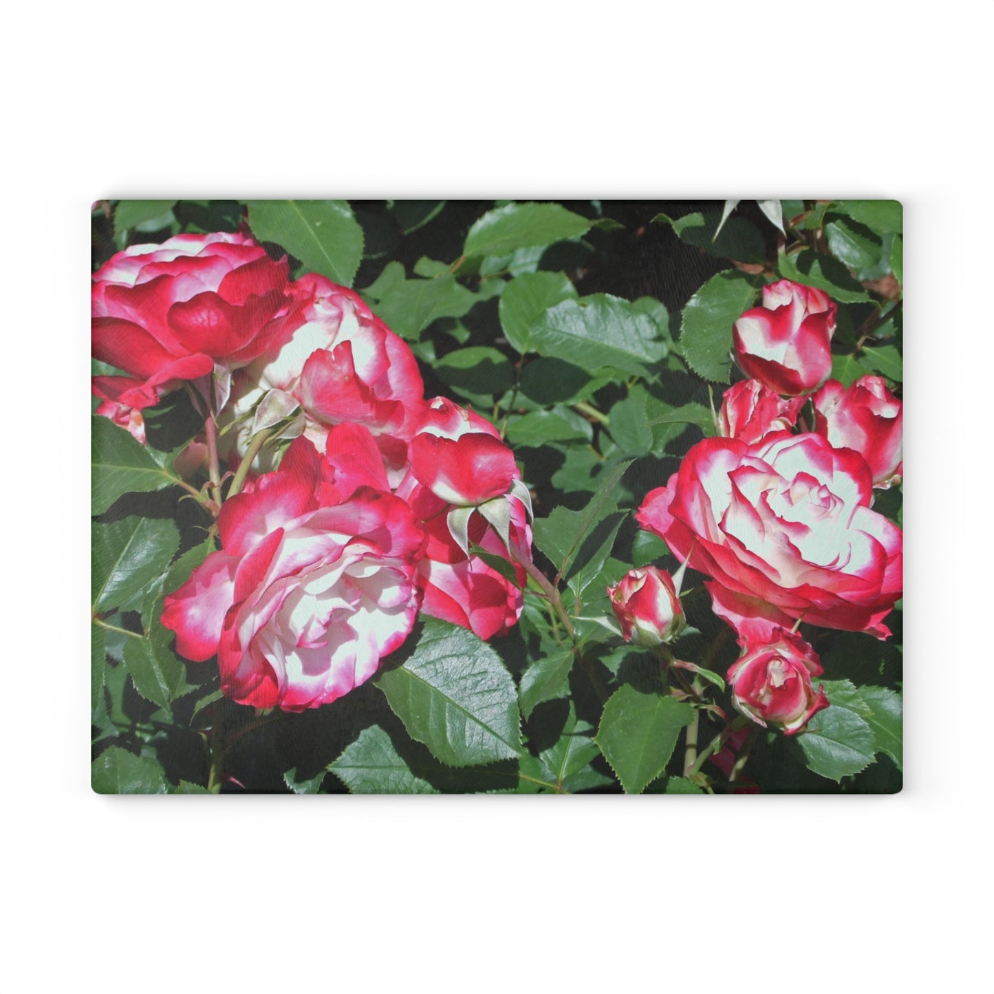 Romantic Roses Glass Cutting Board Hand Wash