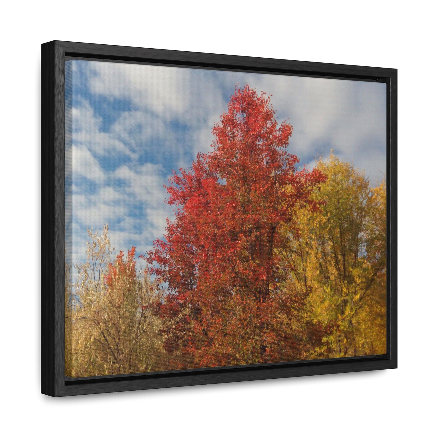Autumn Sky Gallery Canvas Wraps Framed