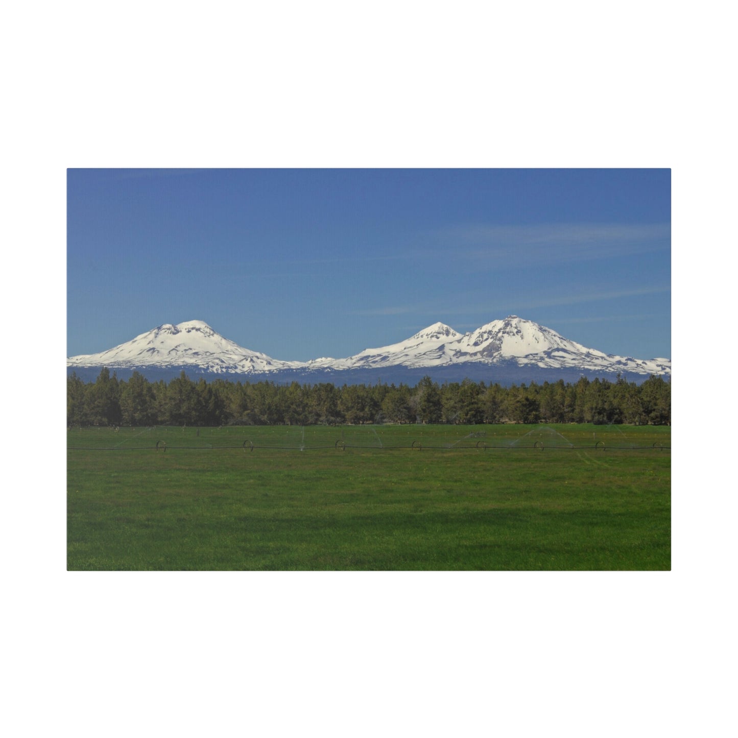 Mountain Field Matte Canvas