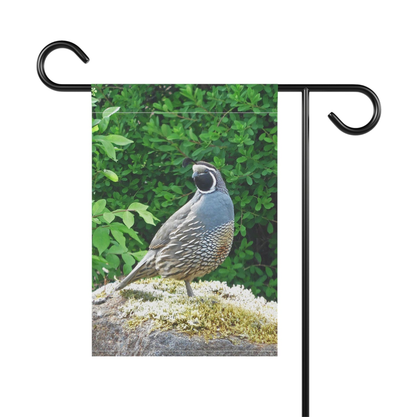 Regal Quail Garden & House Banner