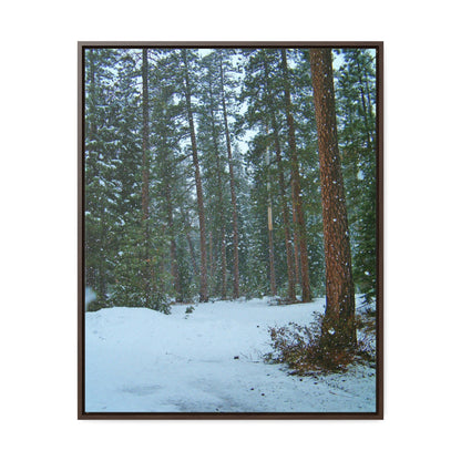 Snowfall Gallery Canvas Wraps Framed