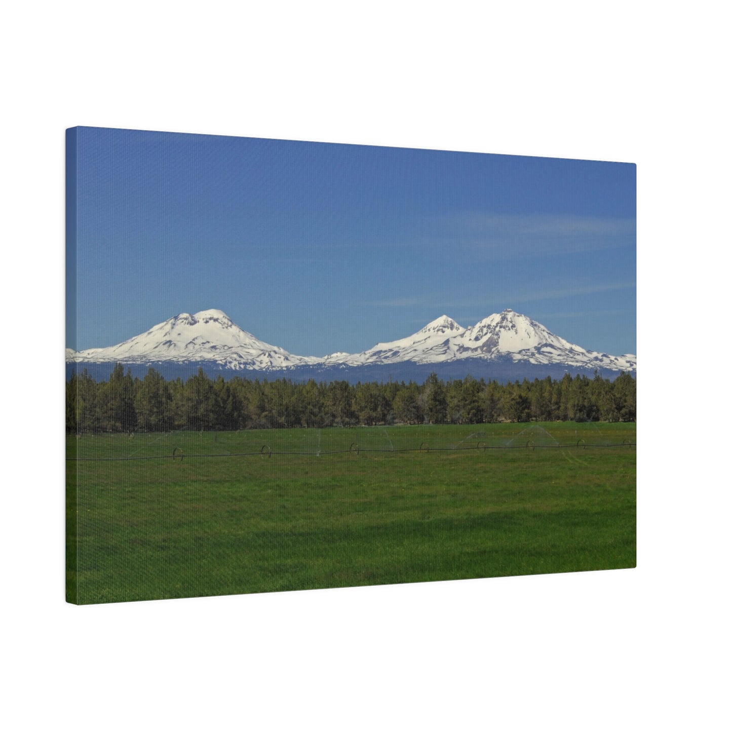 Mountain Field Matte Canvas