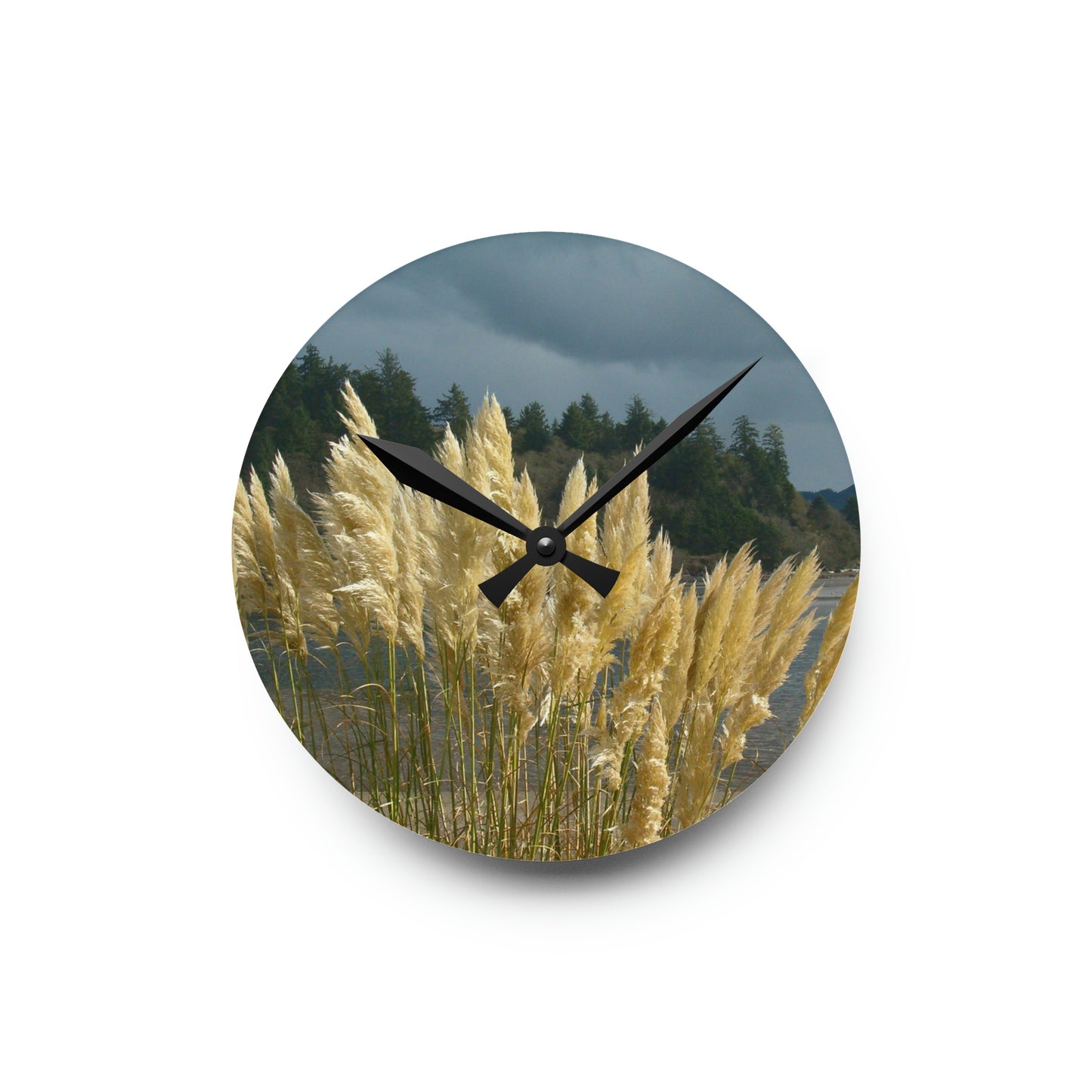 Golden Coastal Pampas Acrylic Wall Clock