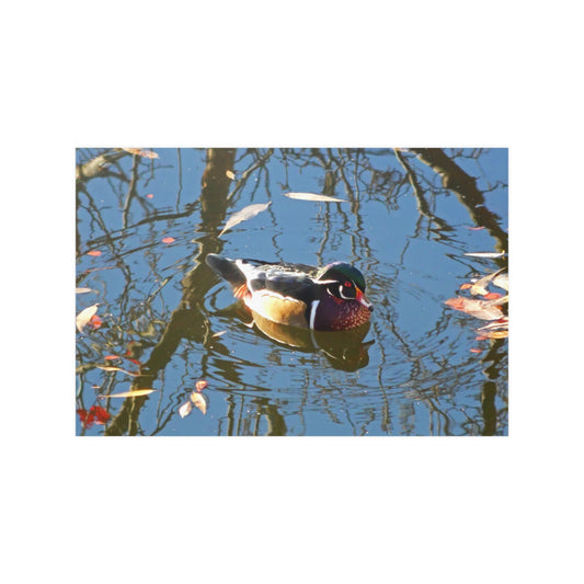 Reflections Wood Duck Satin Posters