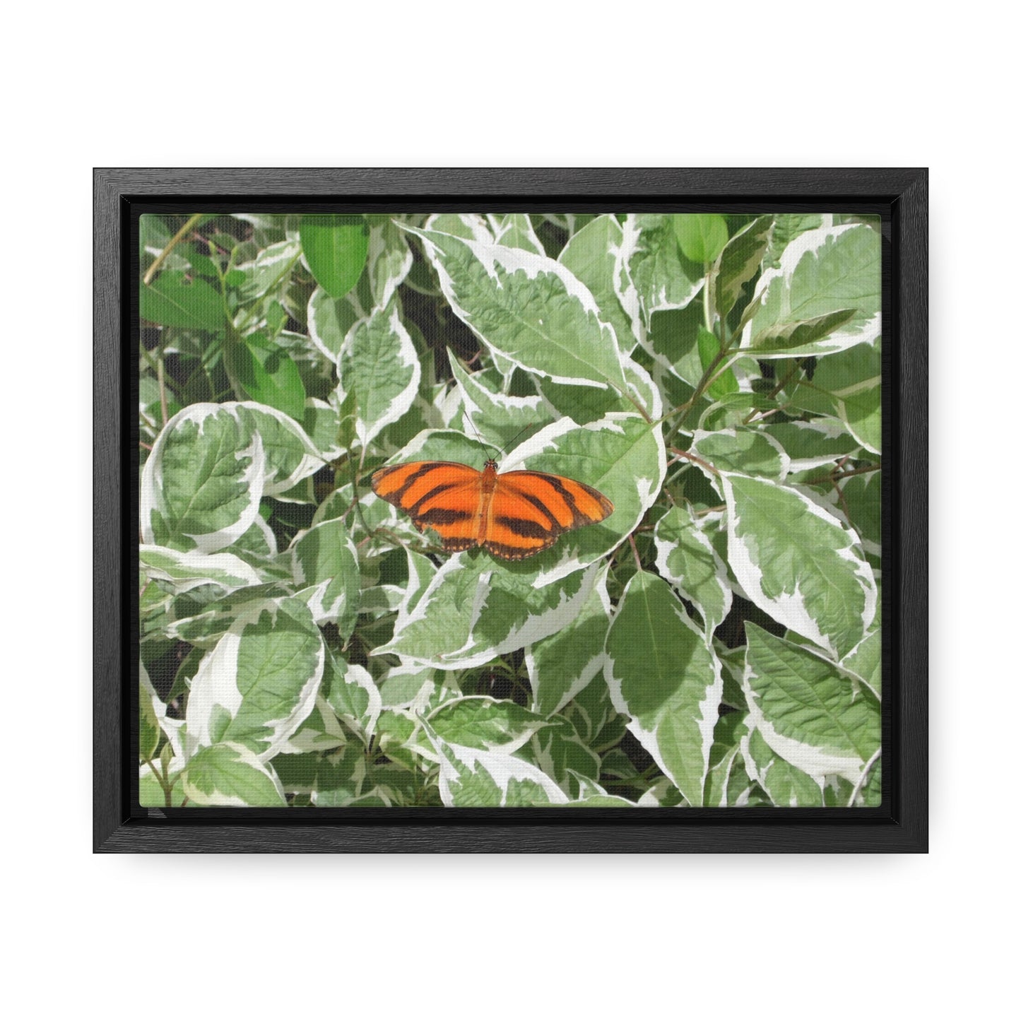 Leaves & Butterfly Gallery Canvas Wraps Framed