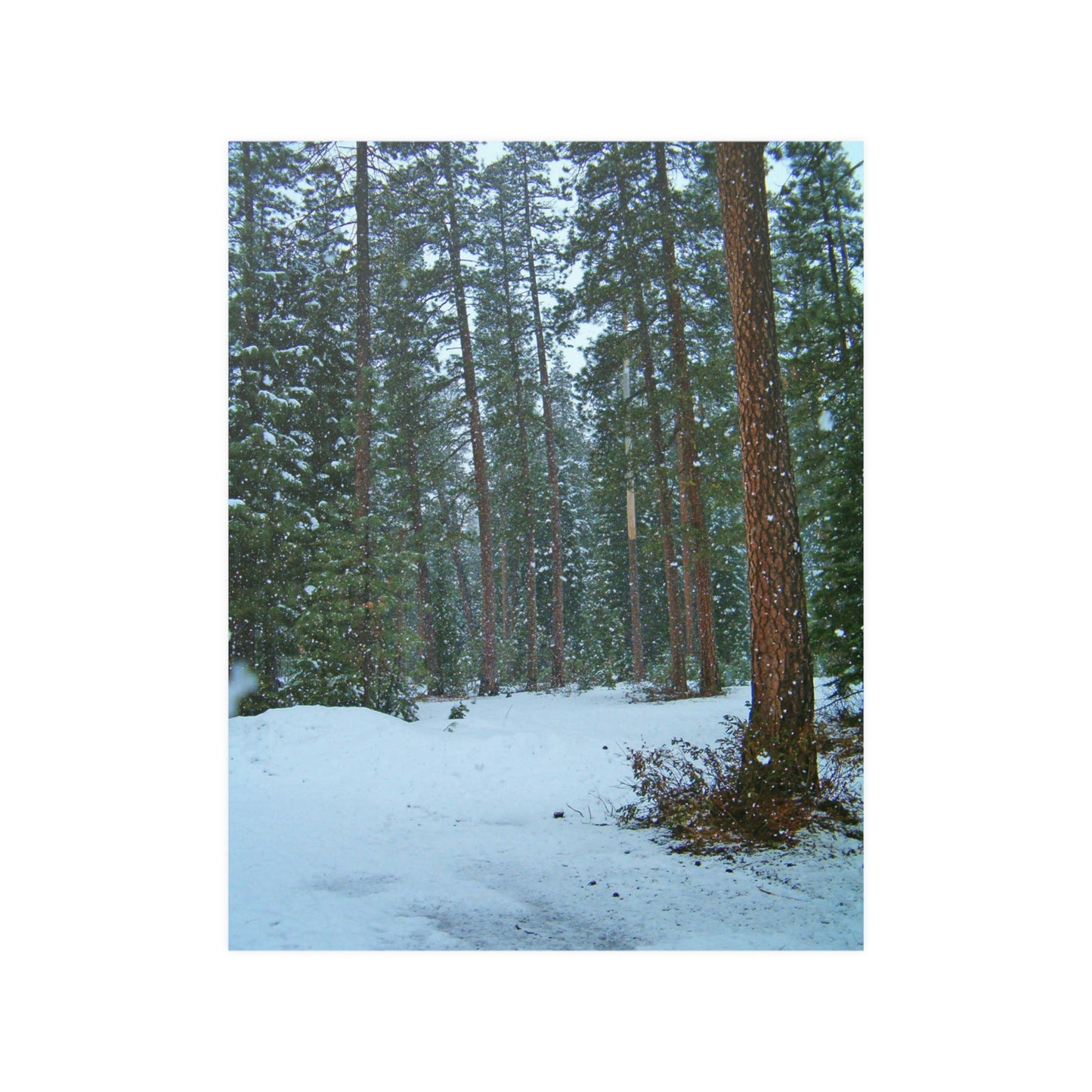 Snowfall Satin Posters