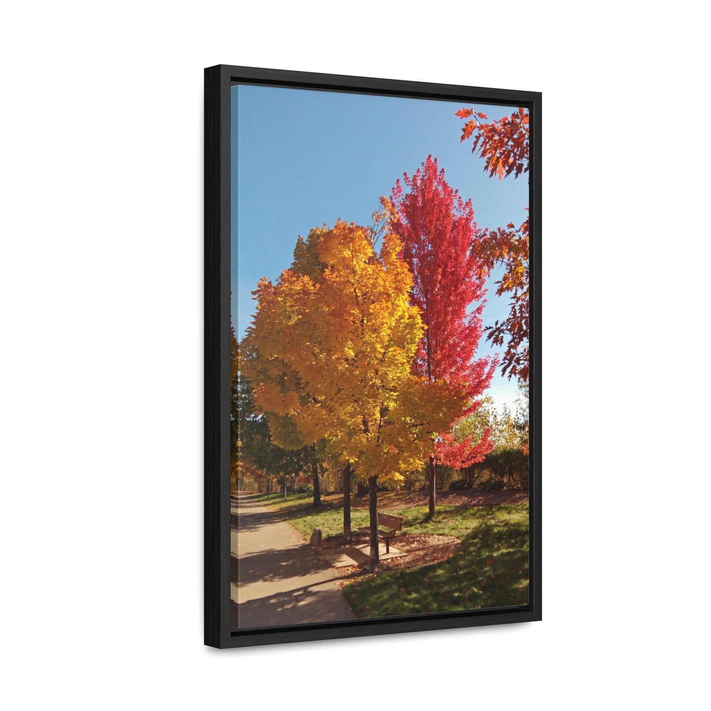 Autumn Bench Gallery Canvas Wraps Framed