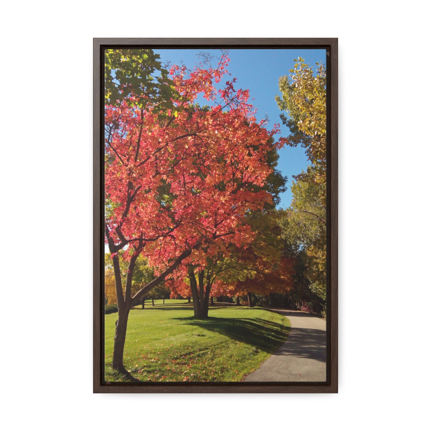 Autumn Glow Gallery Canvas Wraps Framed