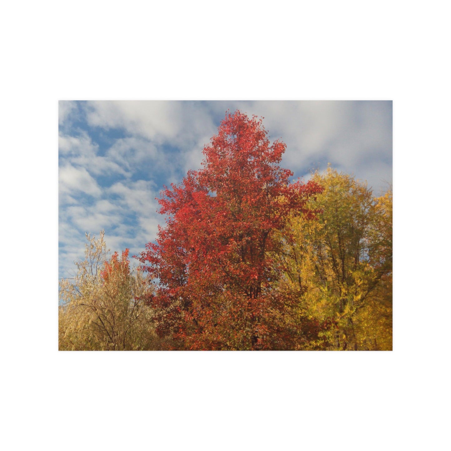 Autumn Sky Satin Posters