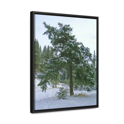 Winter Protector Gallery Canvas Wraps Framed