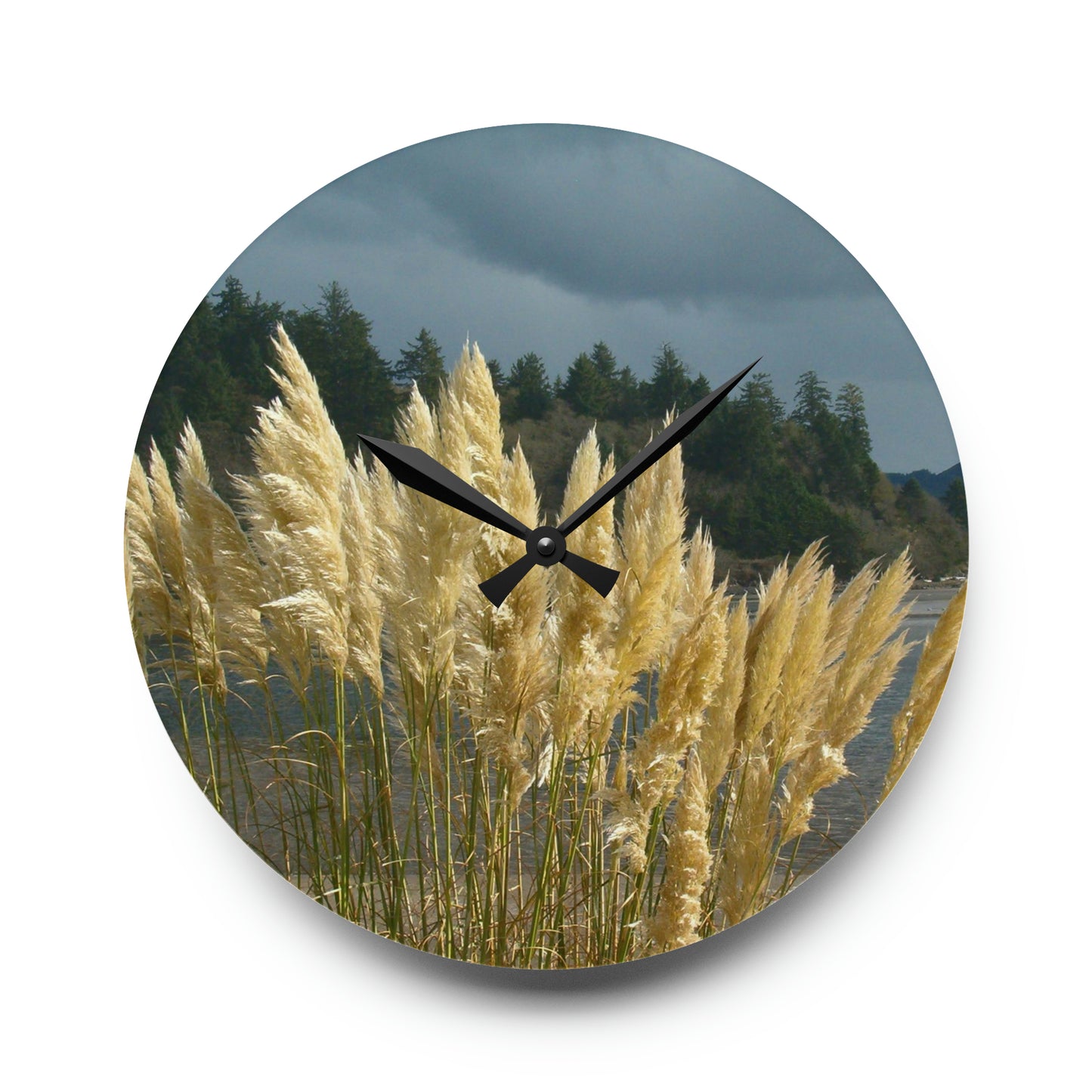 Golden Coastal Pampas Acrylic Wall Clock