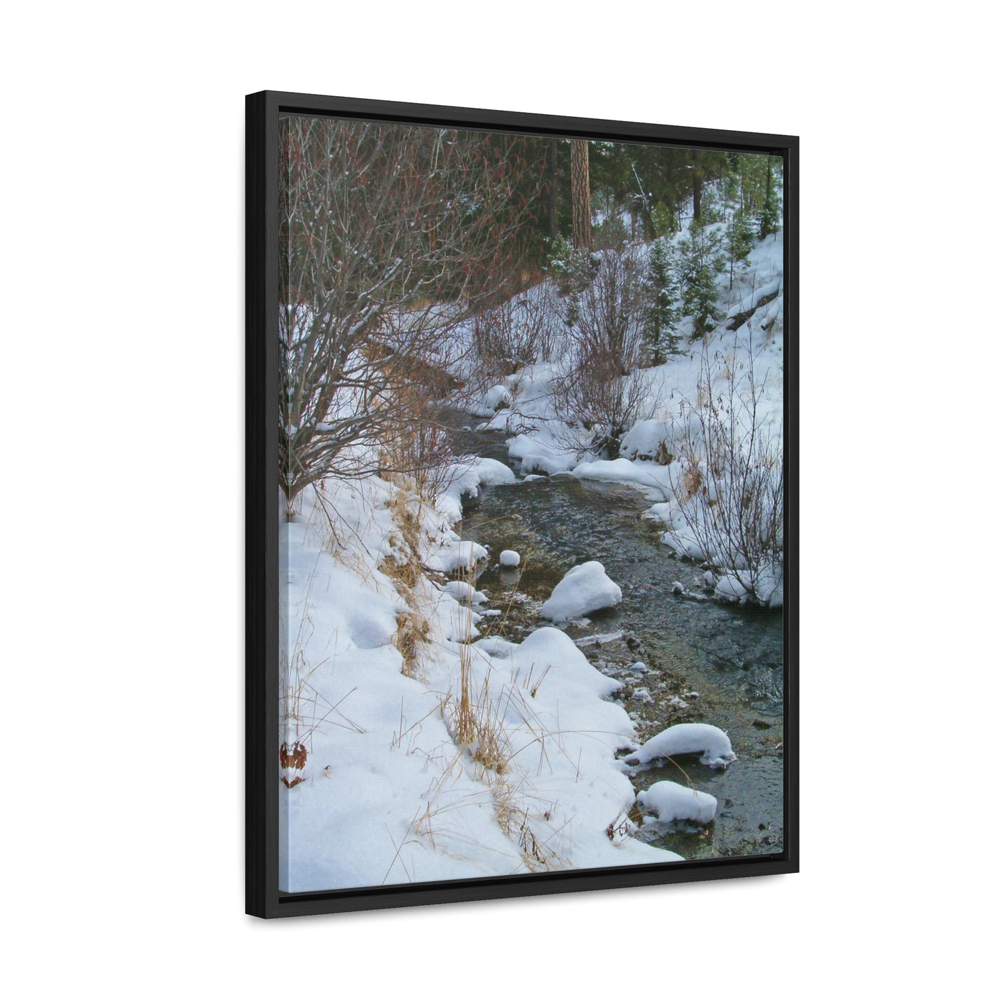 Snowy Creek Gallery Canvas Wraps Framed