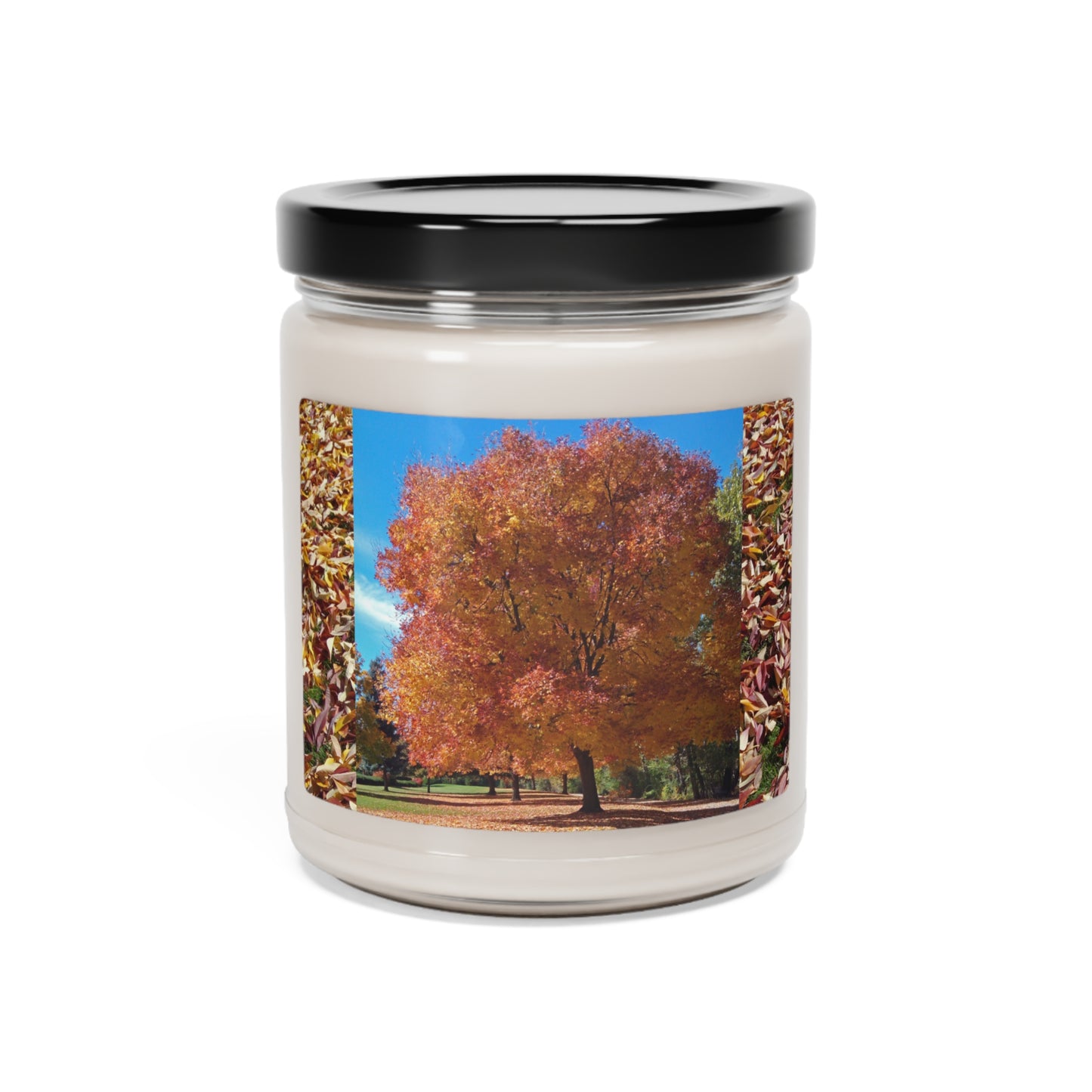 Autumn Tree Late Fall Scented Soy Candle, 9oz