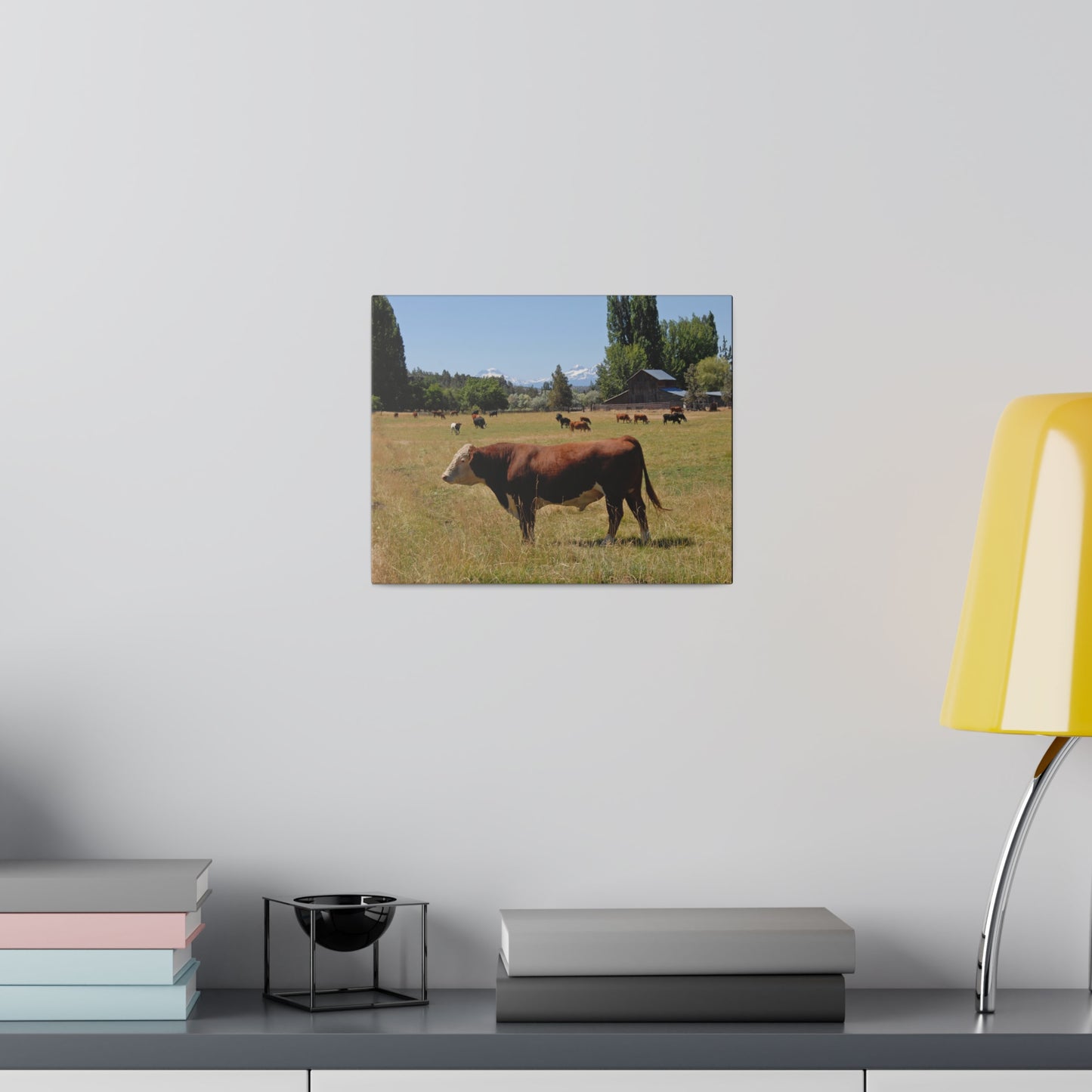 King Of The Pasture Matte Canvas