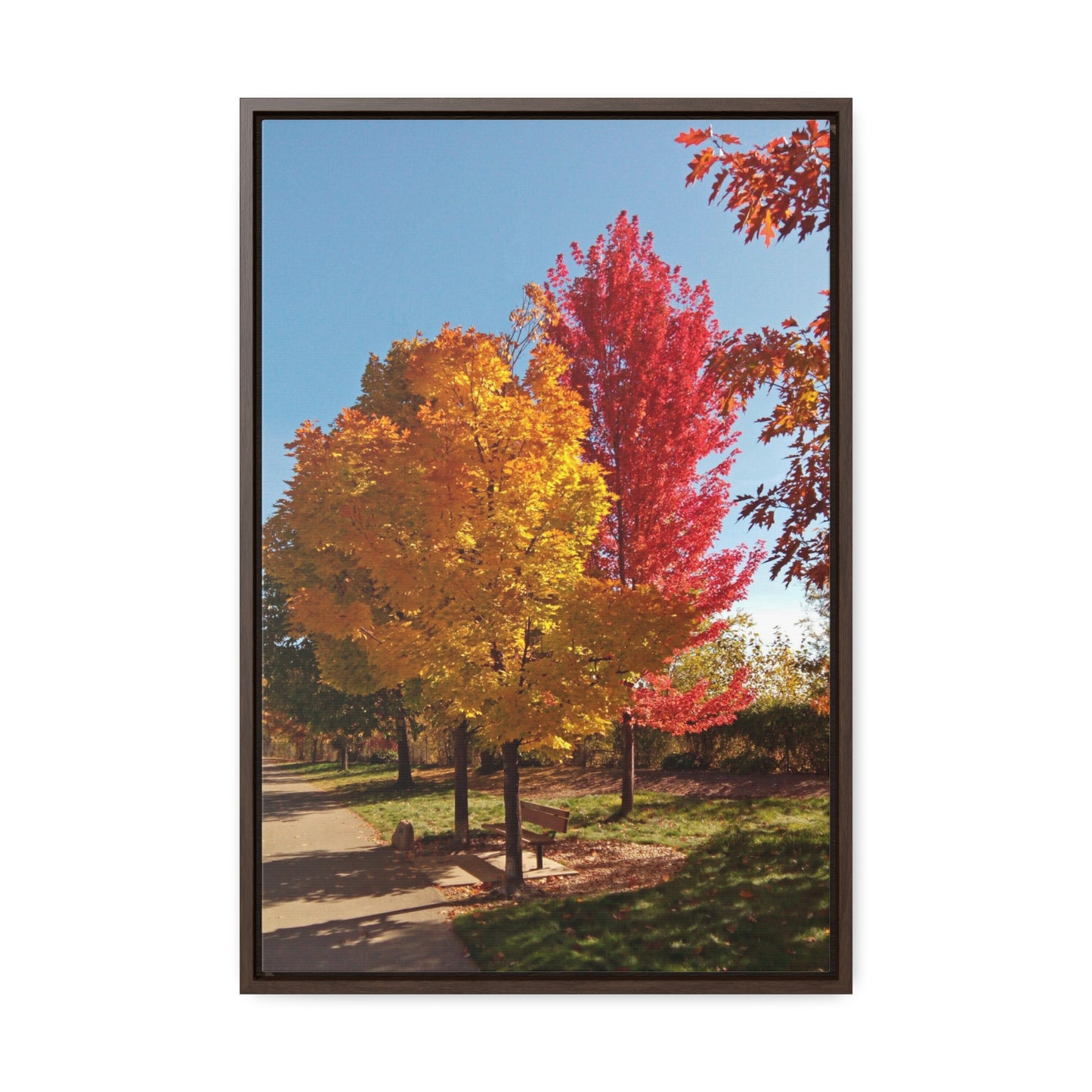 Autumn Bench Gallery Canvas Wraps Framed