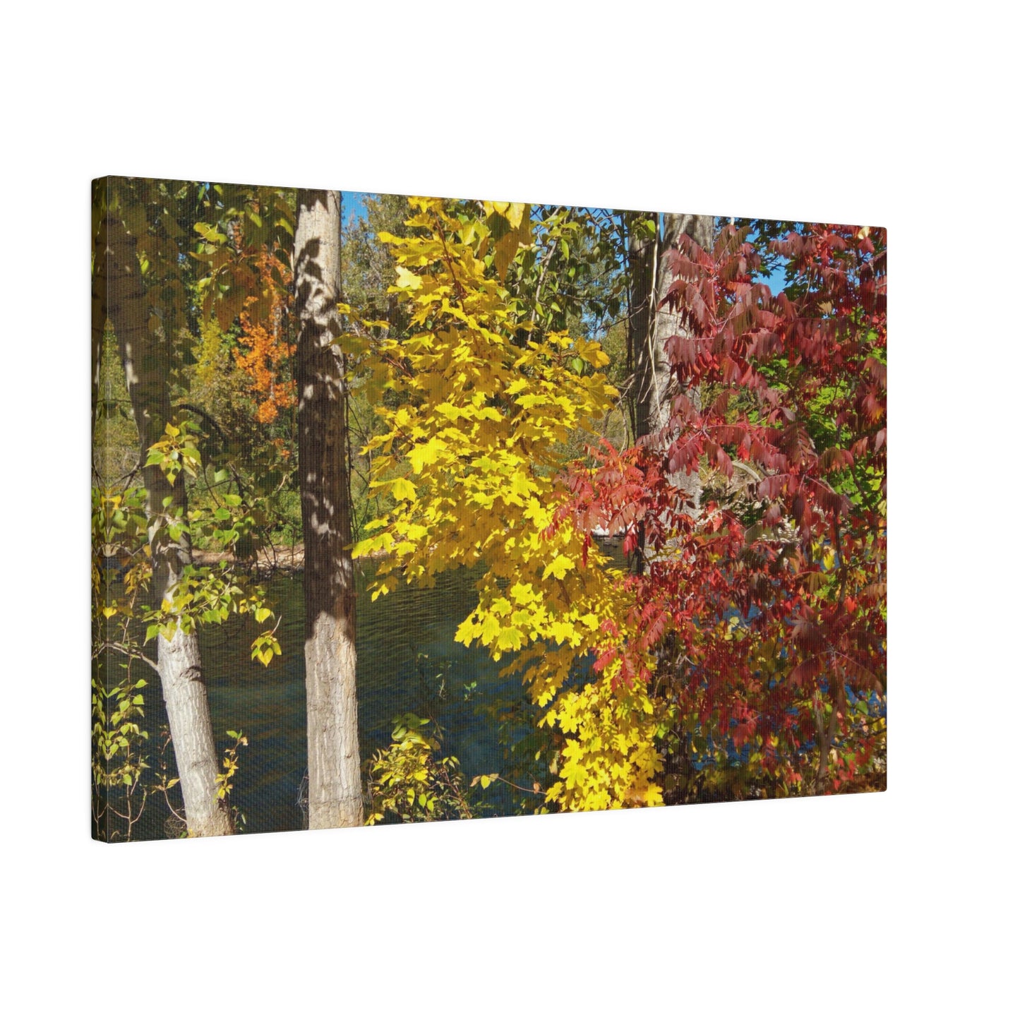 River & Autumn Leaves Matte Canvas