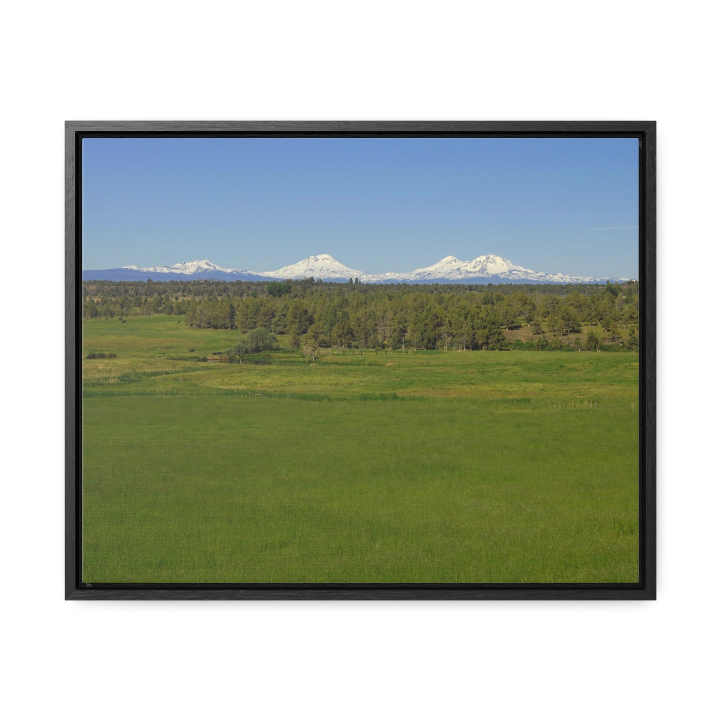 Mountain Meadow Gallery Canvas Wraps Framed