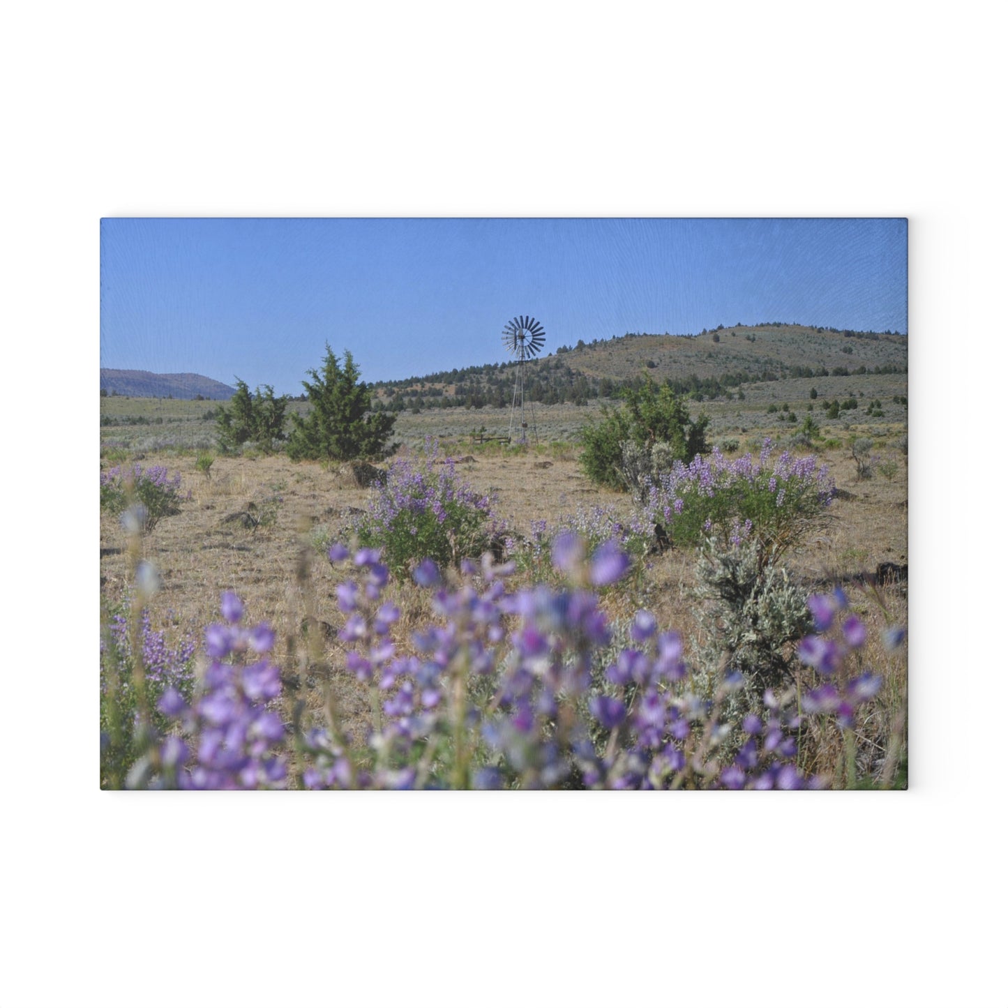 High Desert Lupine & Windmill Glass Cutting Board Hand Wash