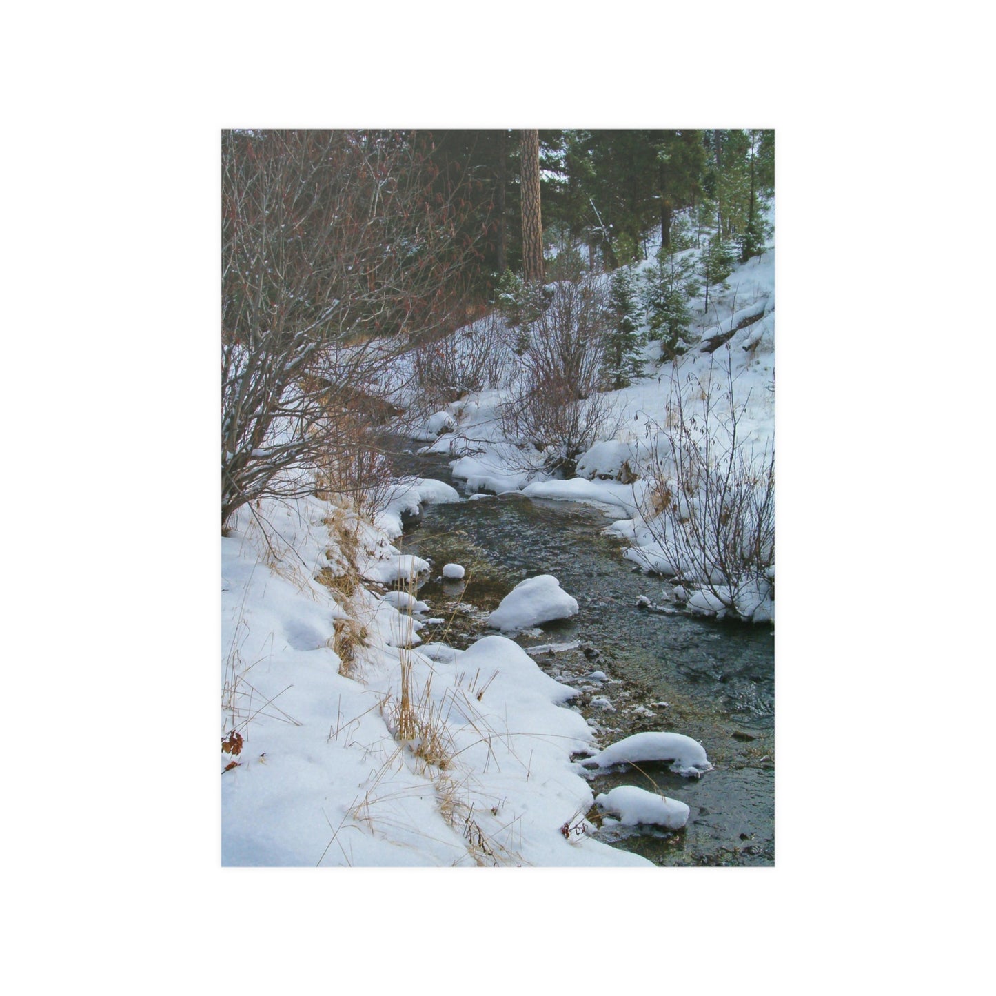 Snowy Creek Satin Posters