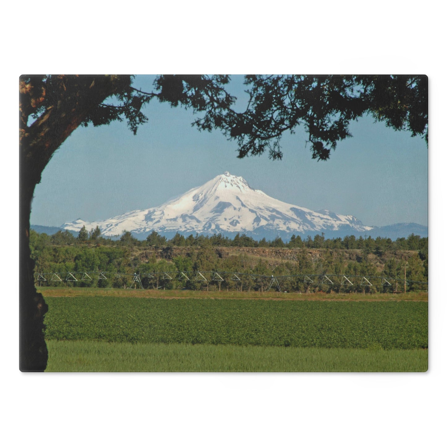 Juniper Framed Mountain Cutting Board Dishwasher Safe