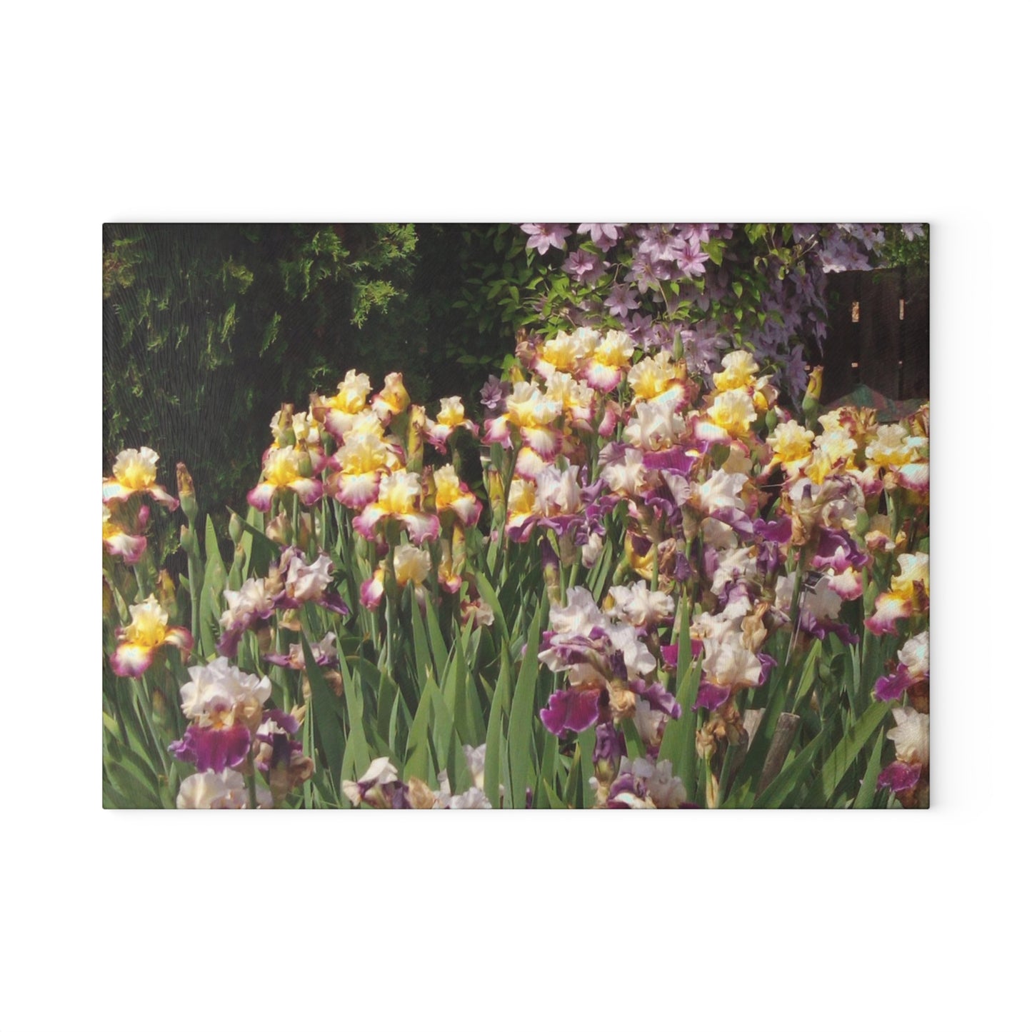 Sunny Iris Garden Glass Cutting Board Hand Wash