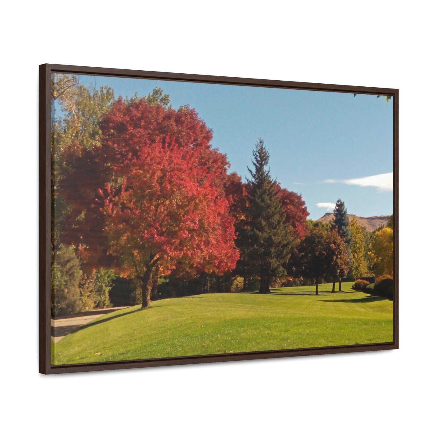Autumn Lawn Gallery Canvas Wraps Framed