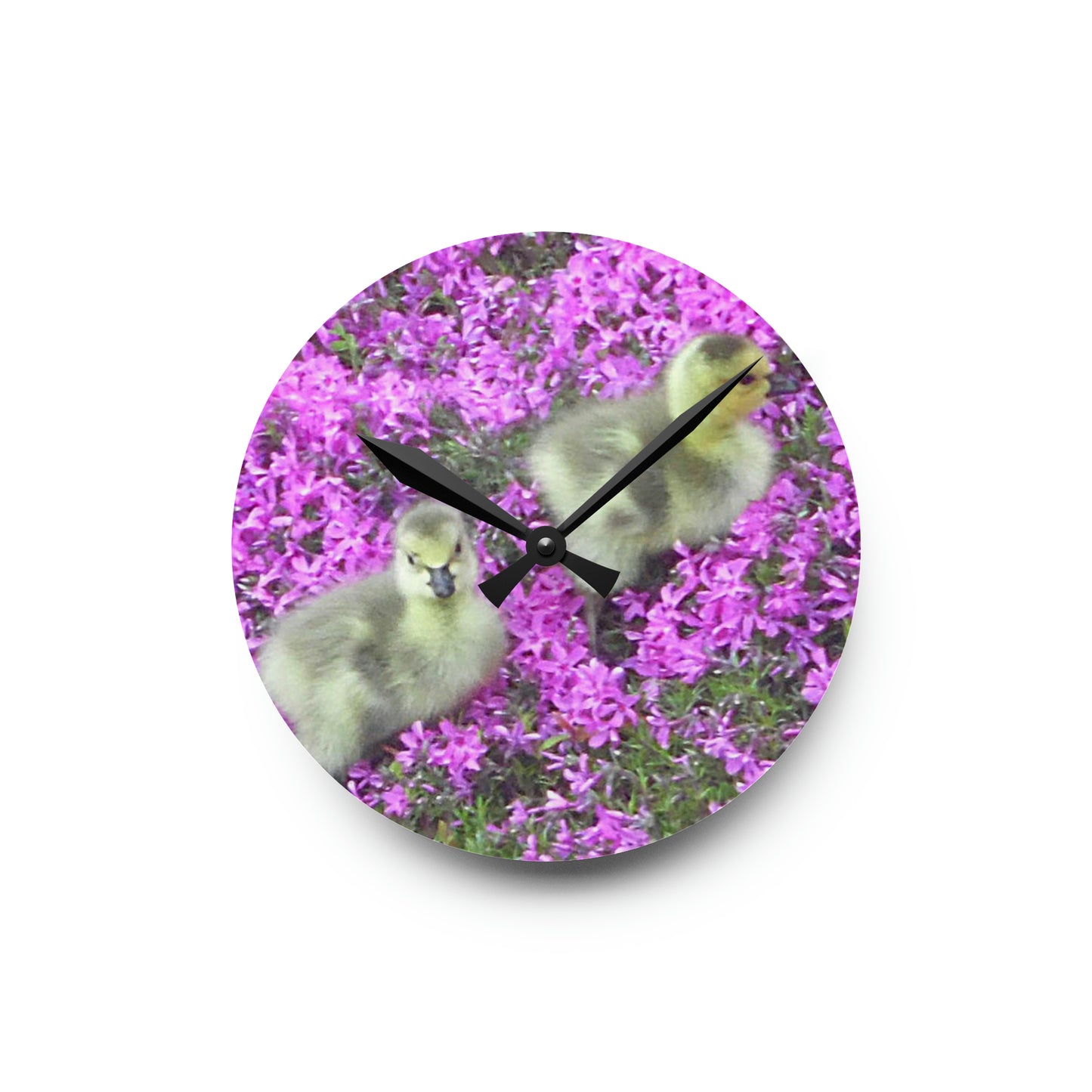 Precious Peeps Acrylic Wall Clock