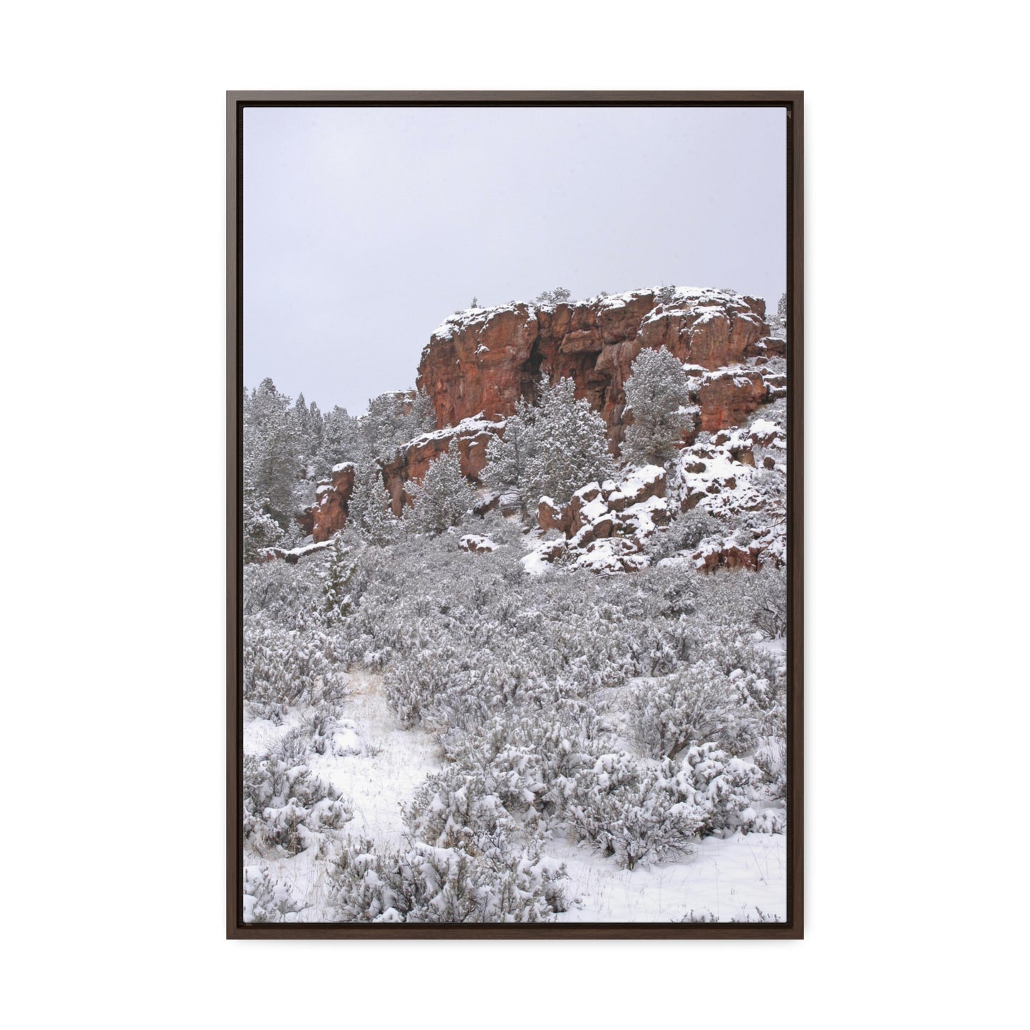 Winter Cliff Gallery Canvas Wraps Framed