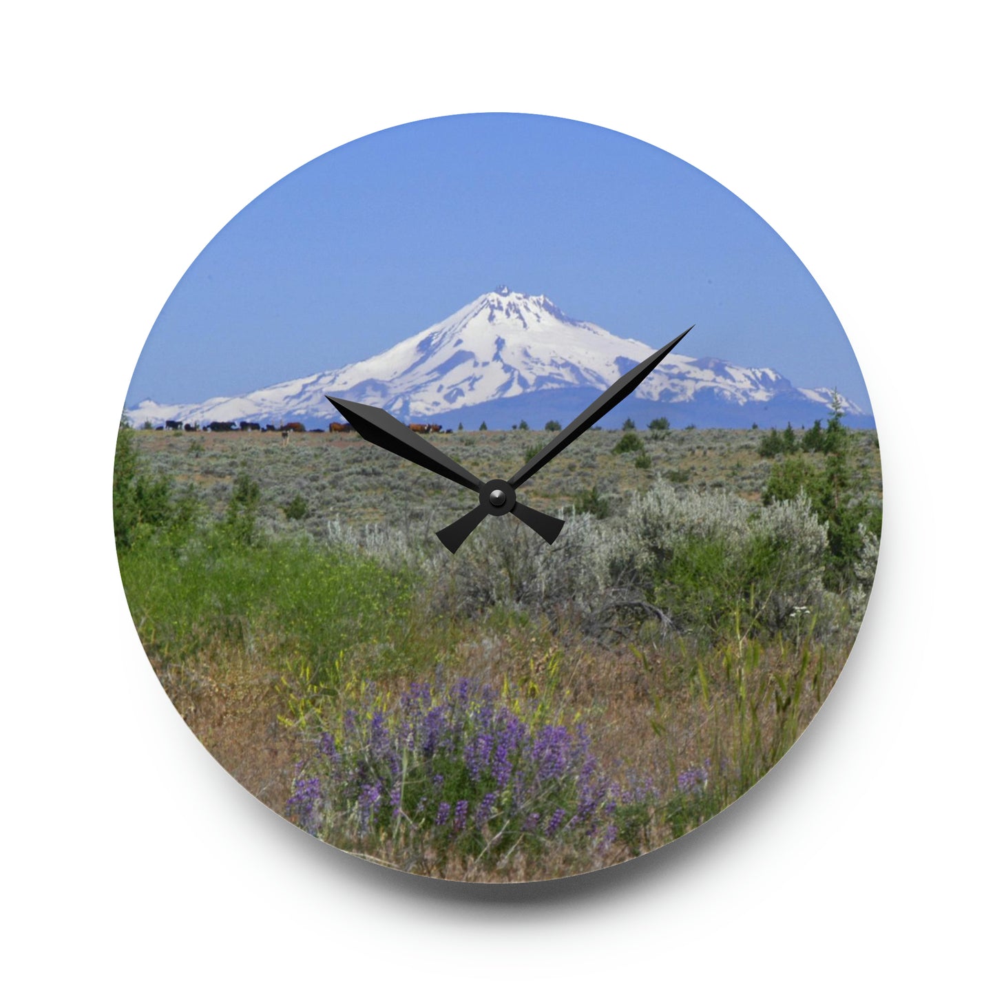 Lupine & Sage Mountain Acrylic Wall Clock