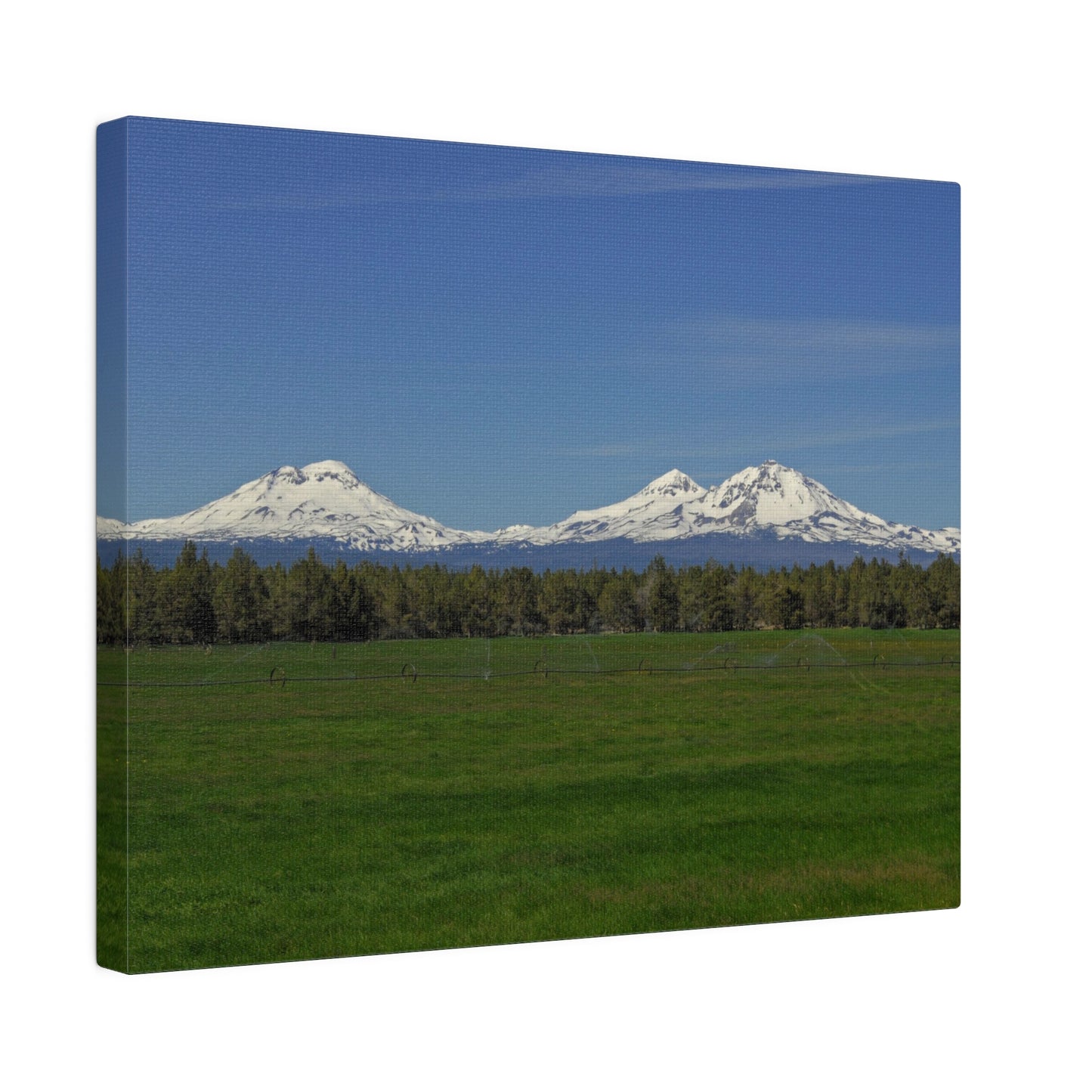 Mountain Field Matte Canvas