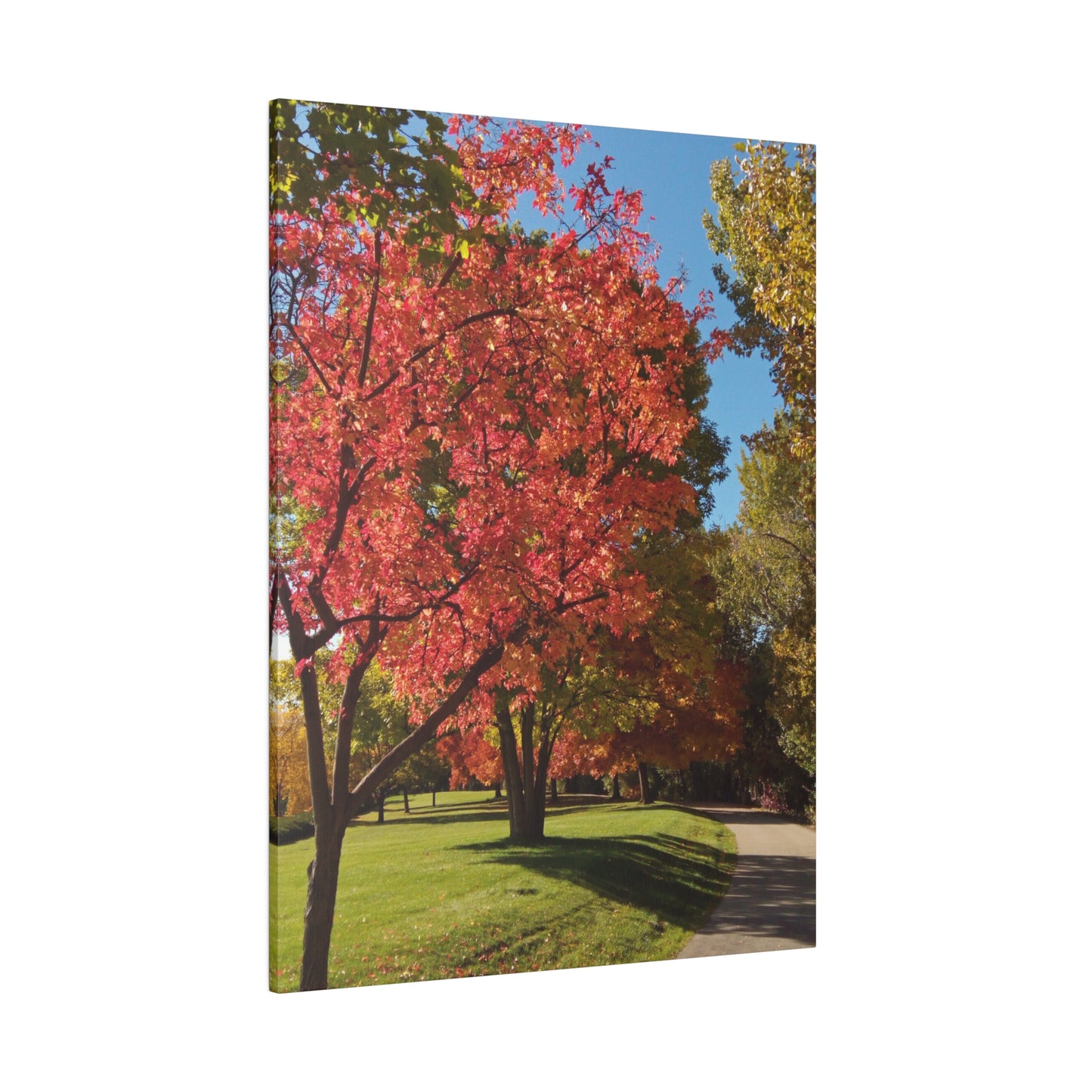 Autumn Glow Matte Canvas
