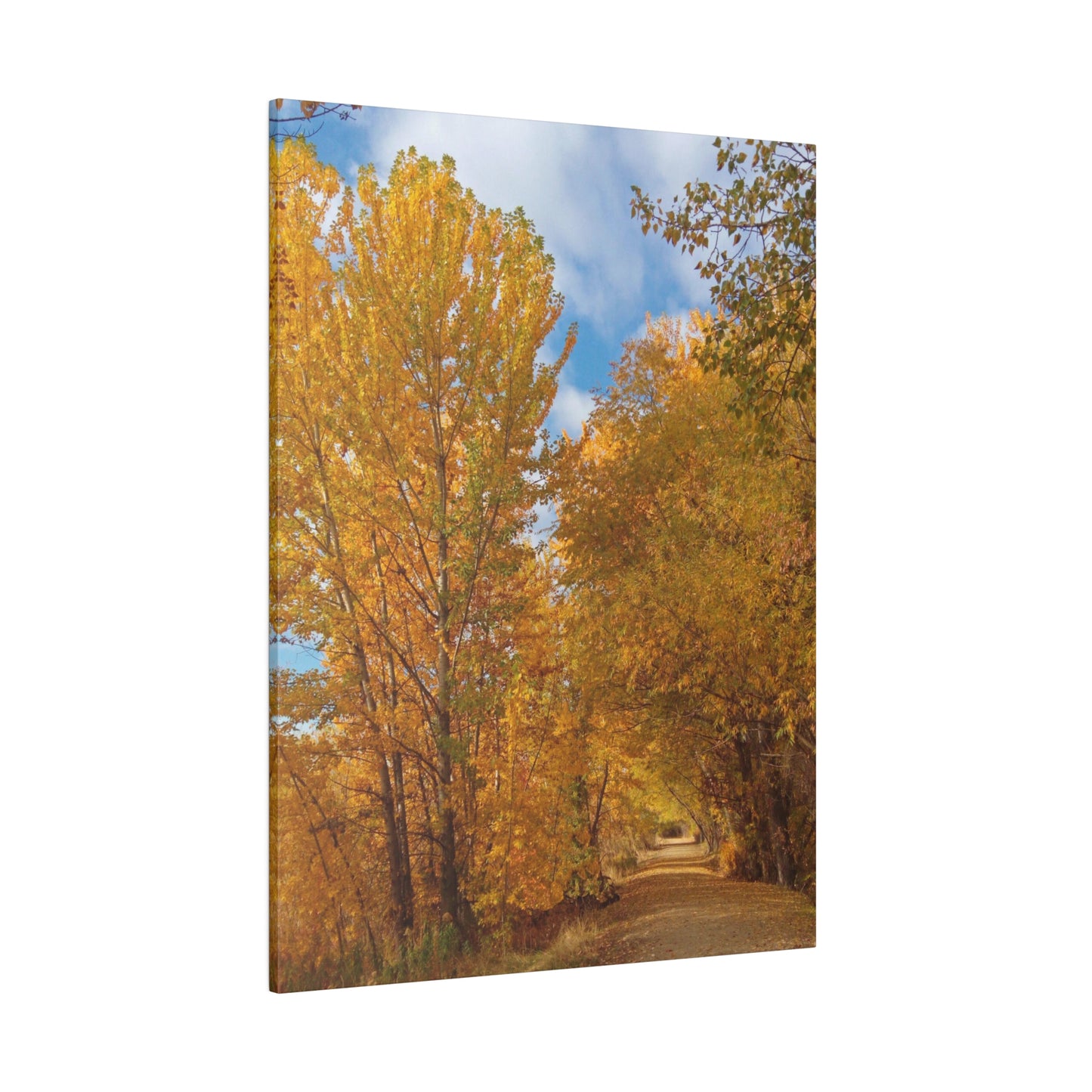 Autumn Trail Matte Canvas