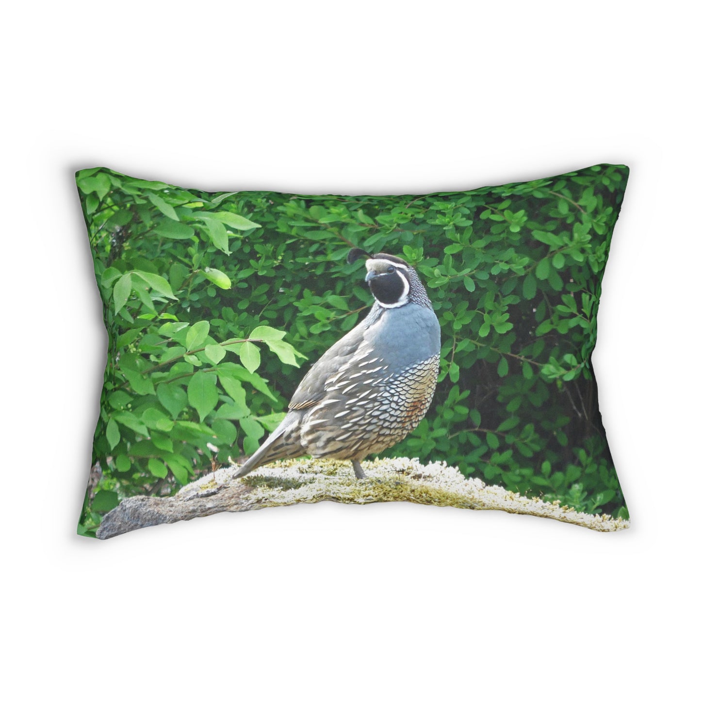 Regal Quail Spun Polyester Lumbar Pillow