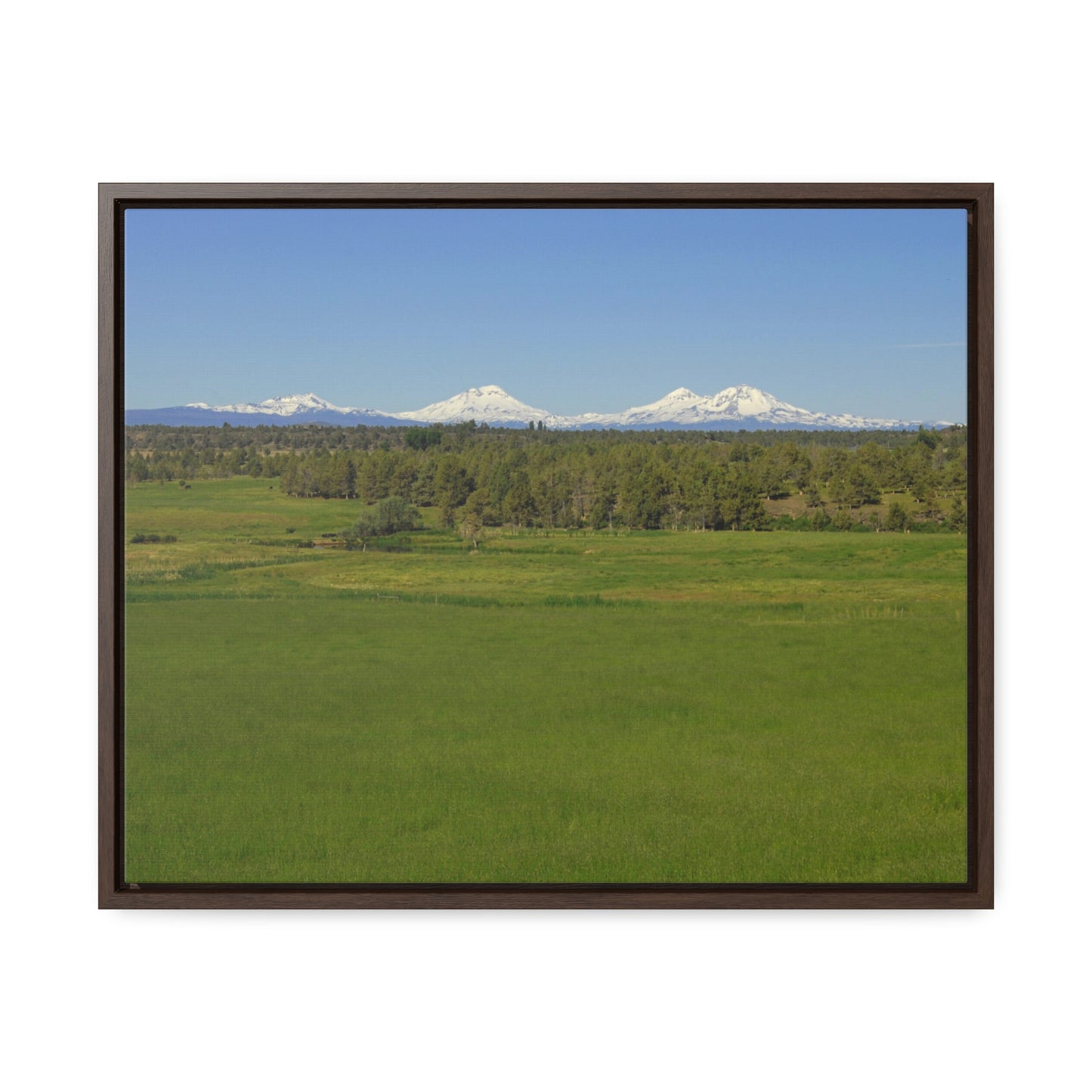 Mountain Meadow Gallery Canvas Wraps Framed