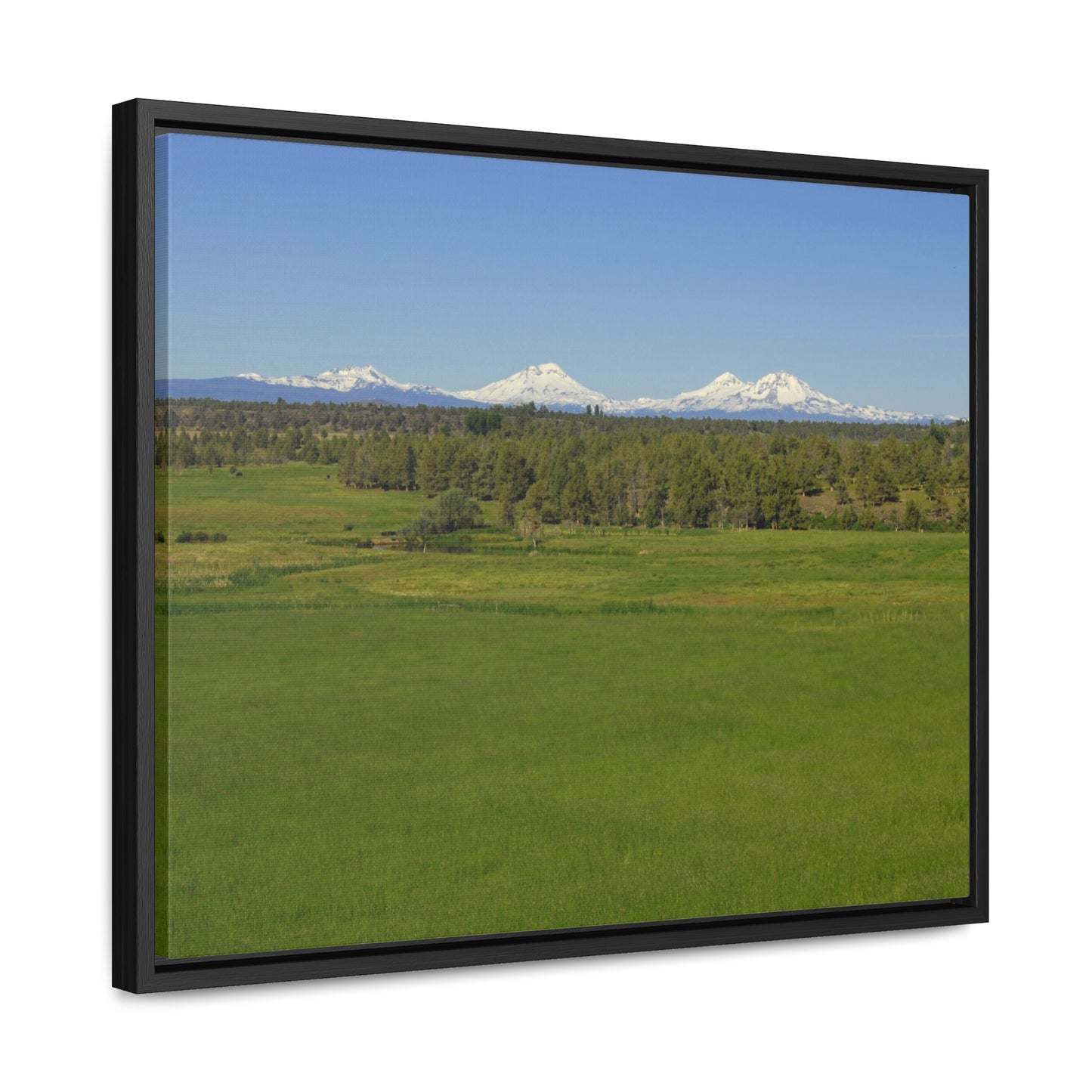 Mountain Meadow Gallery Canvas Wraps Framed