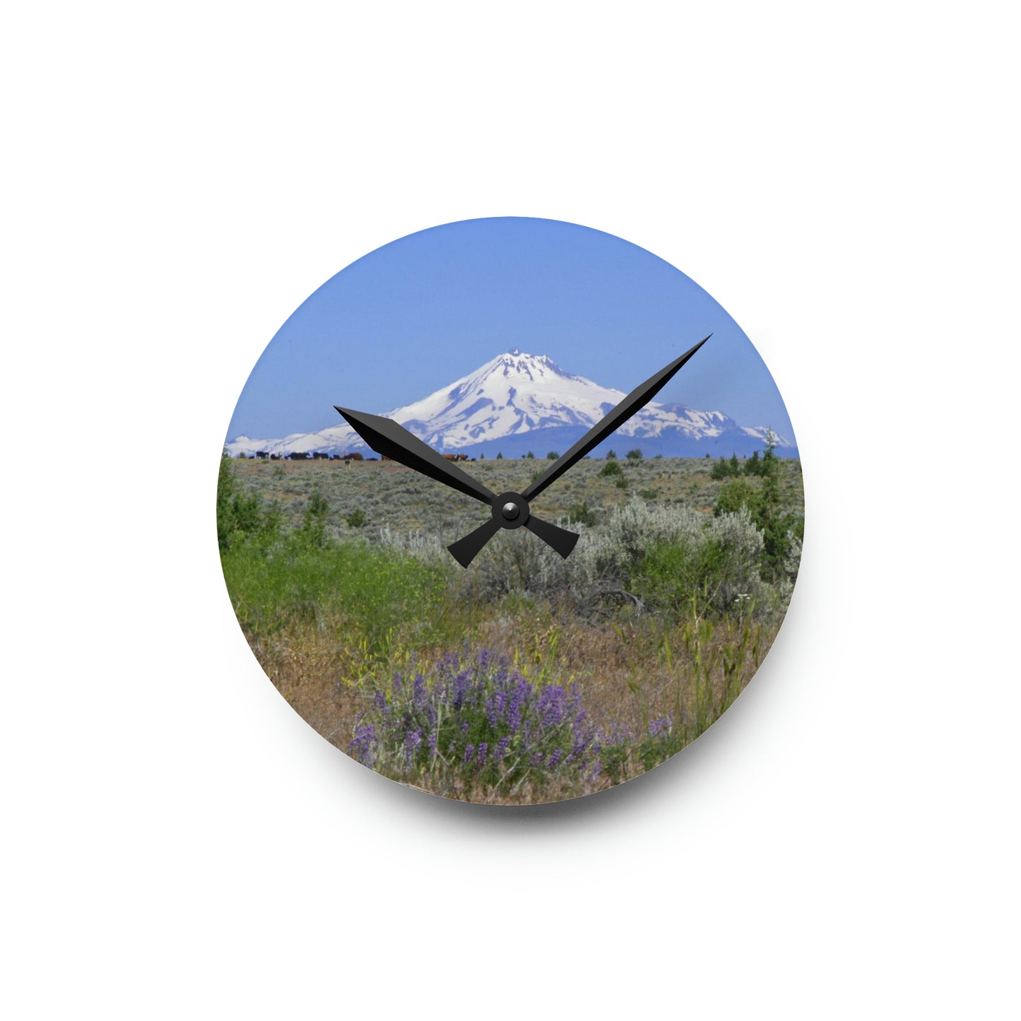 Lupine & Sage Mountain Acrylic Wall Clock