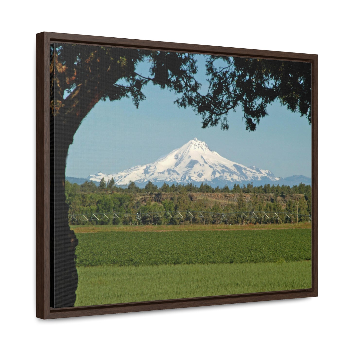 Juniper Framed Mountain Gallery Canvas Wraps Framed