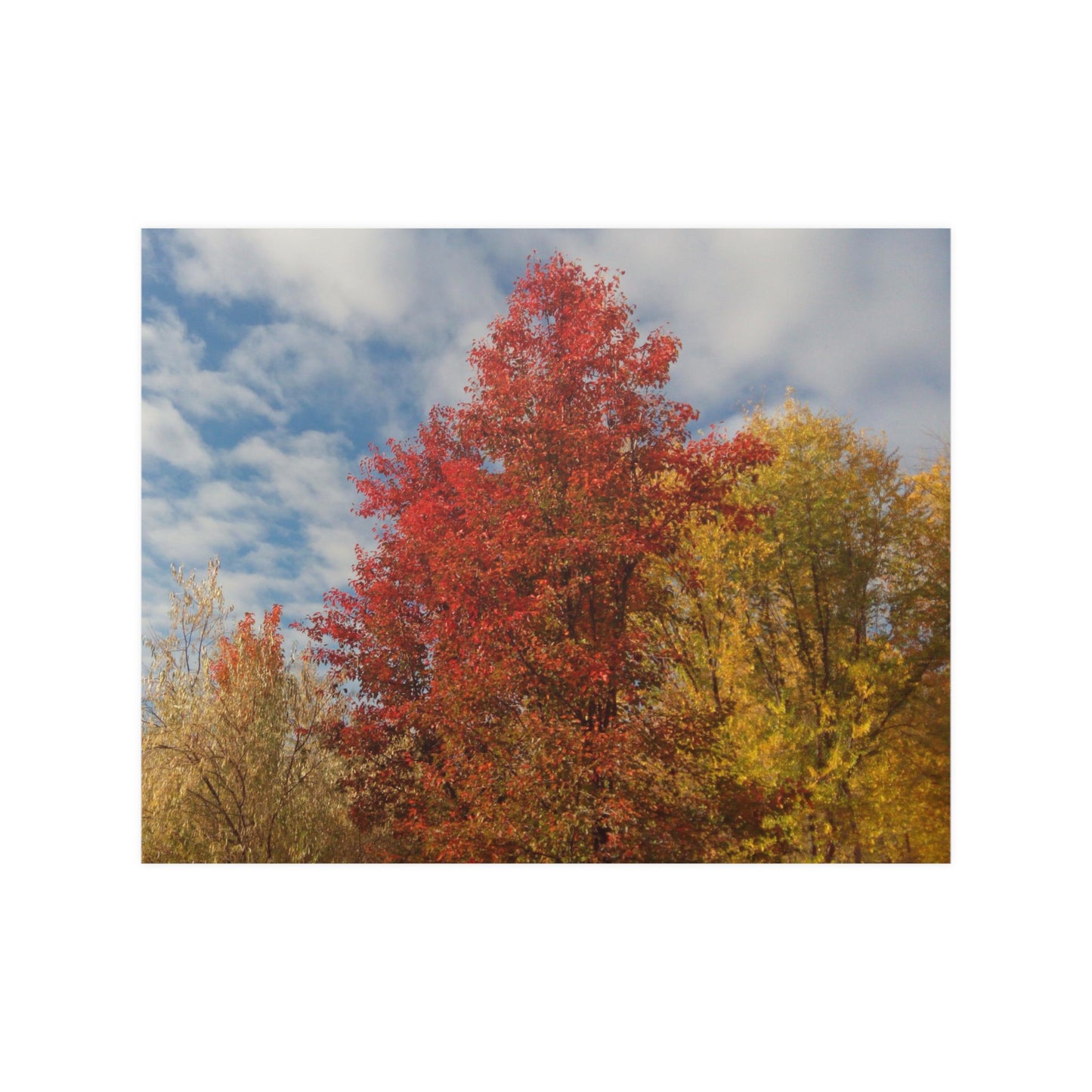 Autumn Sky Satin Posters
