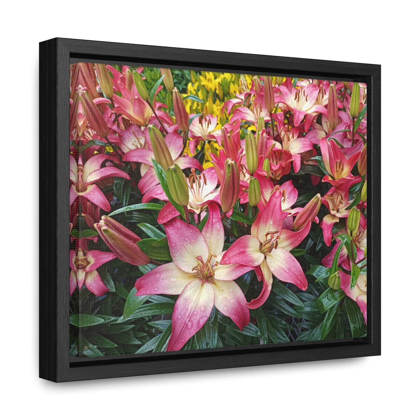 Lovely Lilies Gallery Canvas Wraps Framed