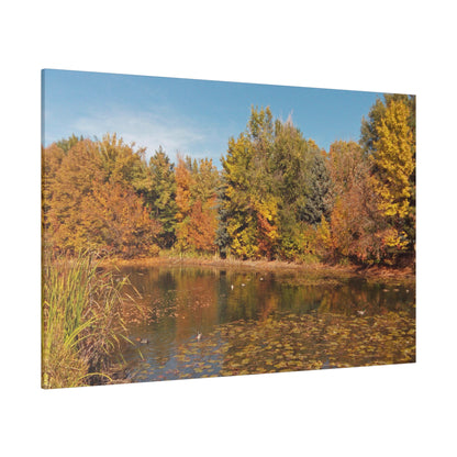 Autumn Duck Pond Matte Canvas