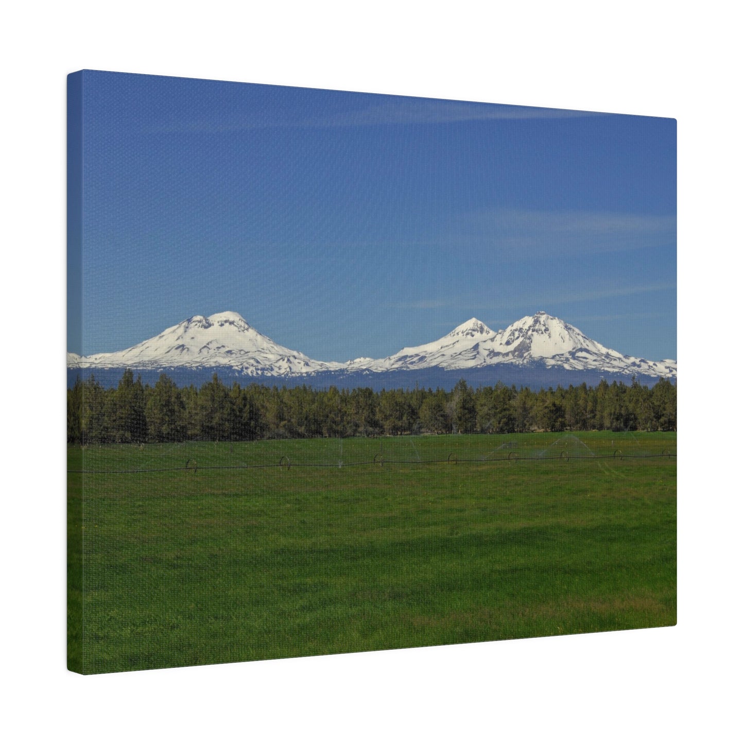 Mountain Field Matte Canvas