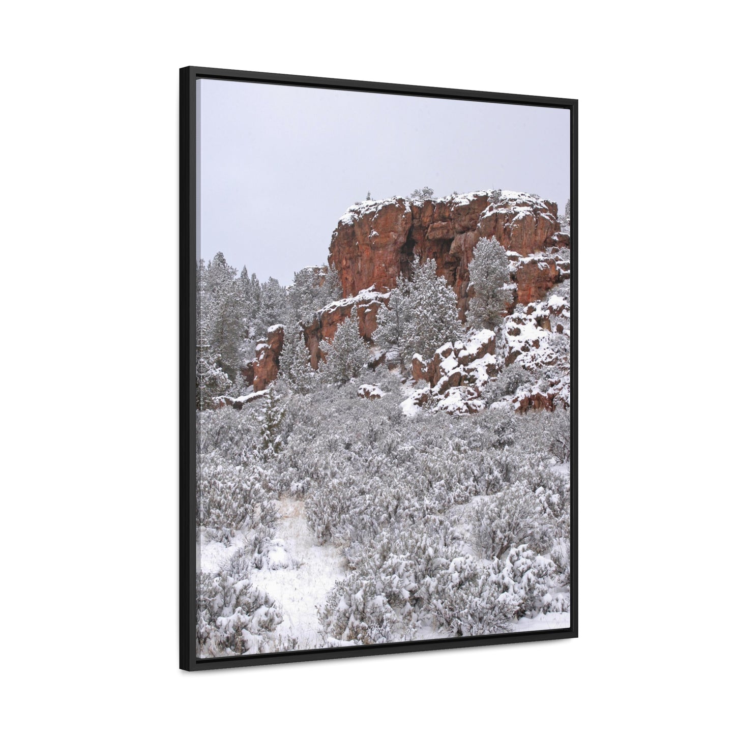 Winter Cliff Gallery Canvas Wraps Framed